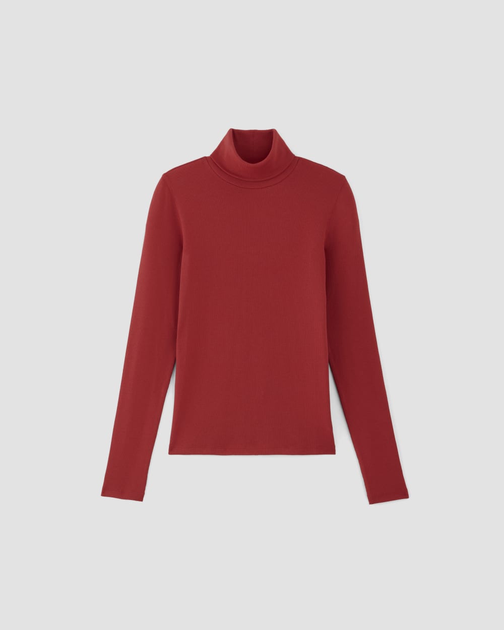 Everlane ribbed turtleneck 2025