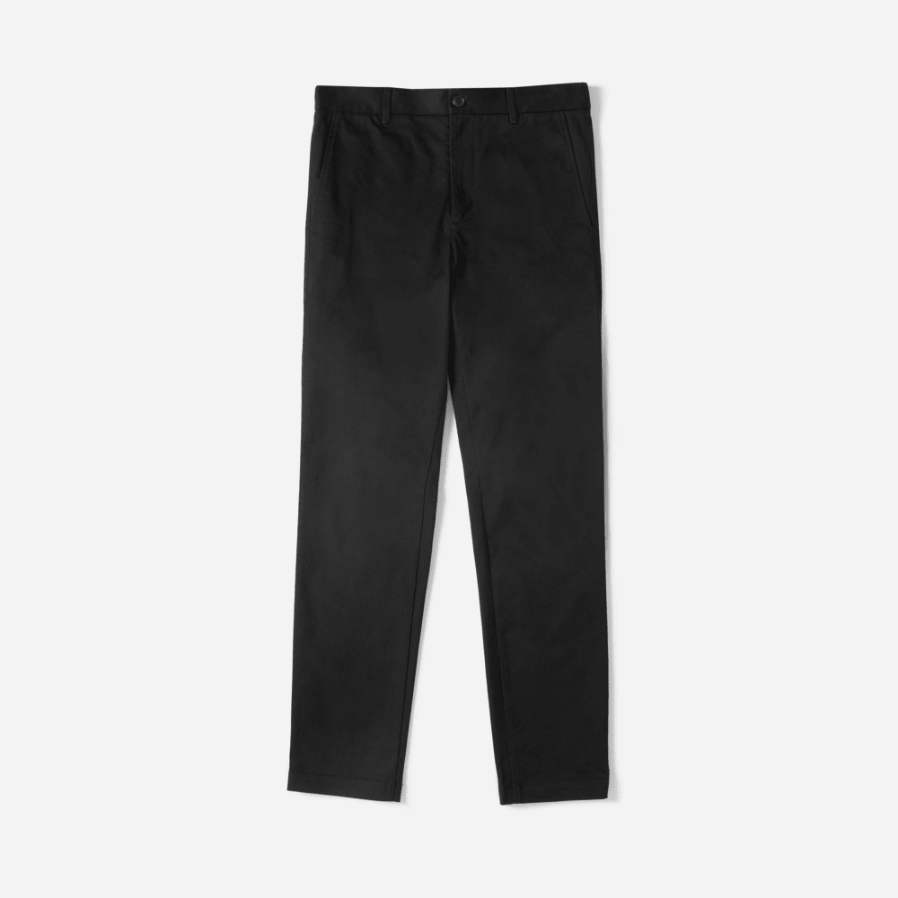 Everlane heavyweight store chino