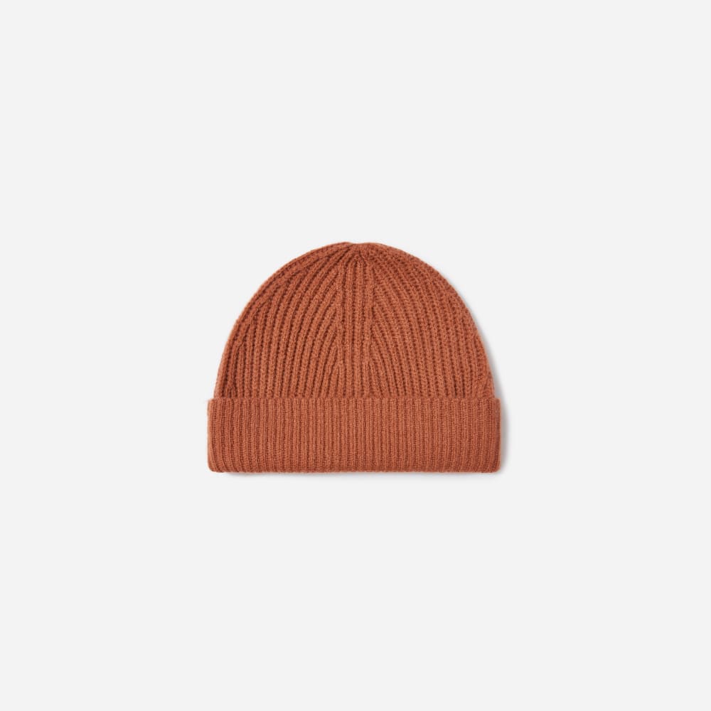 everlane cashmere hat