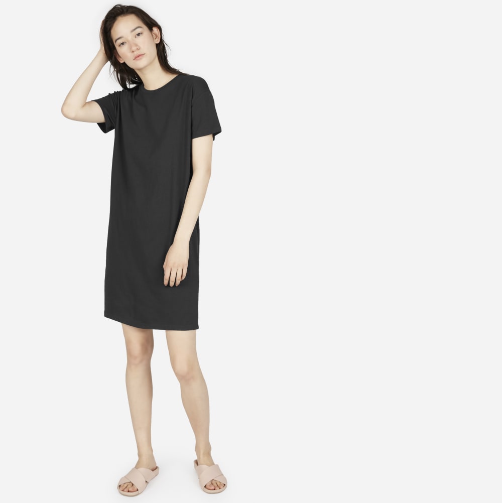 Everlane tee deals shirt dress