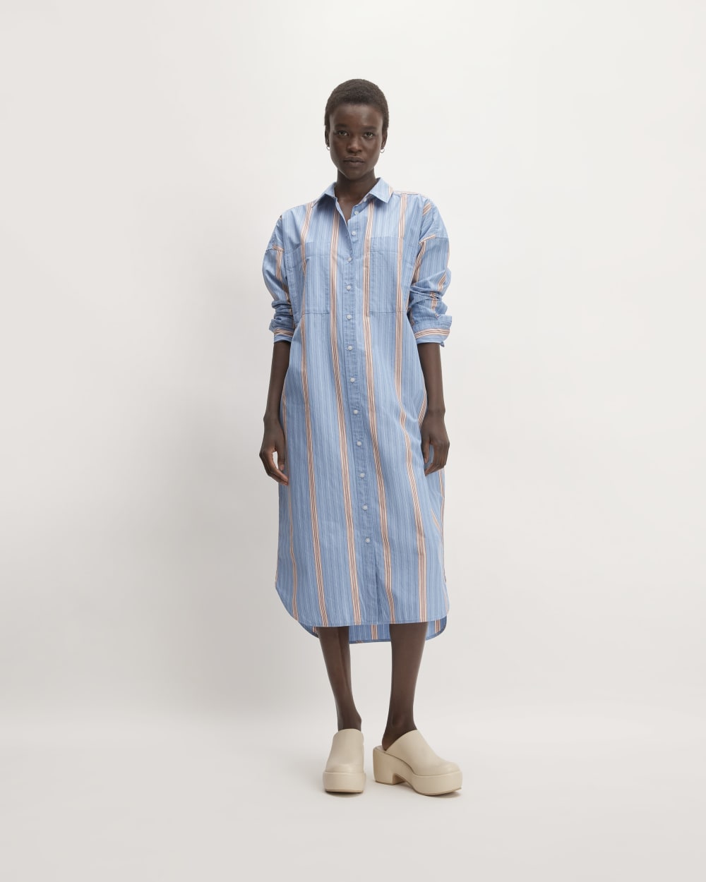 Everlane cotton shop shirt dress