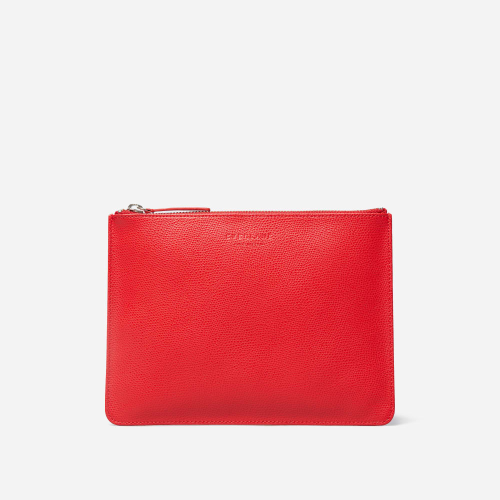 Everlane clutch store