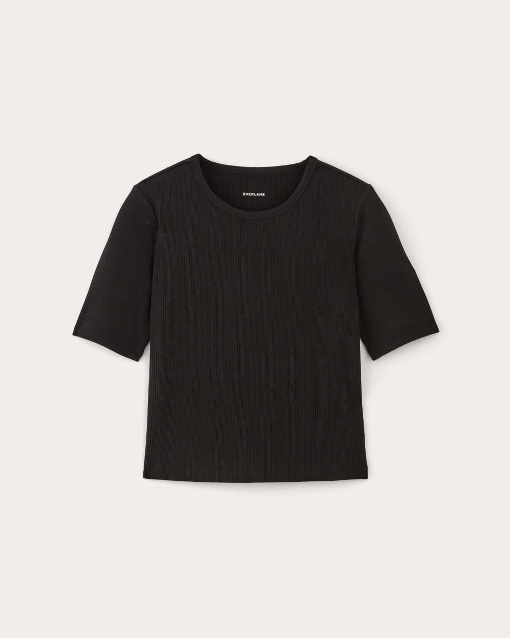 Everlane tees discount