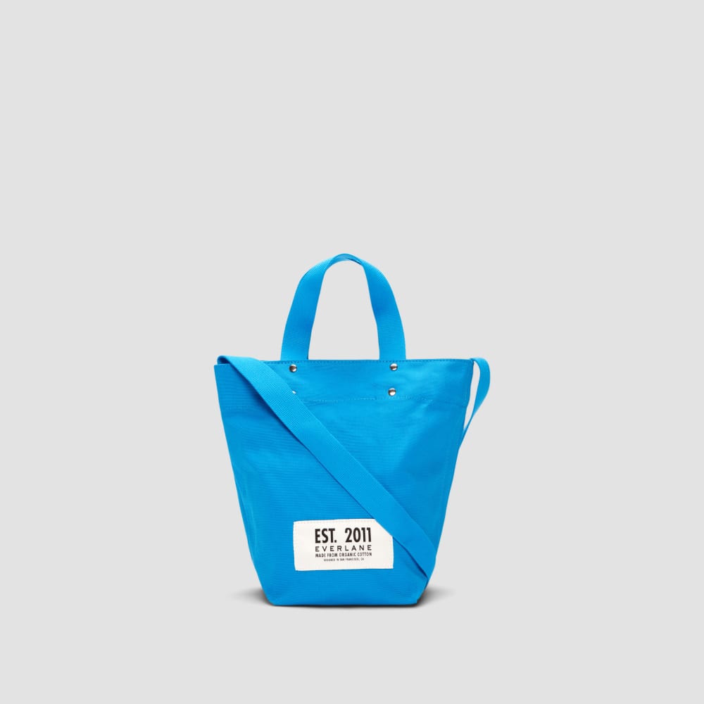 Everlane discount canvas tote