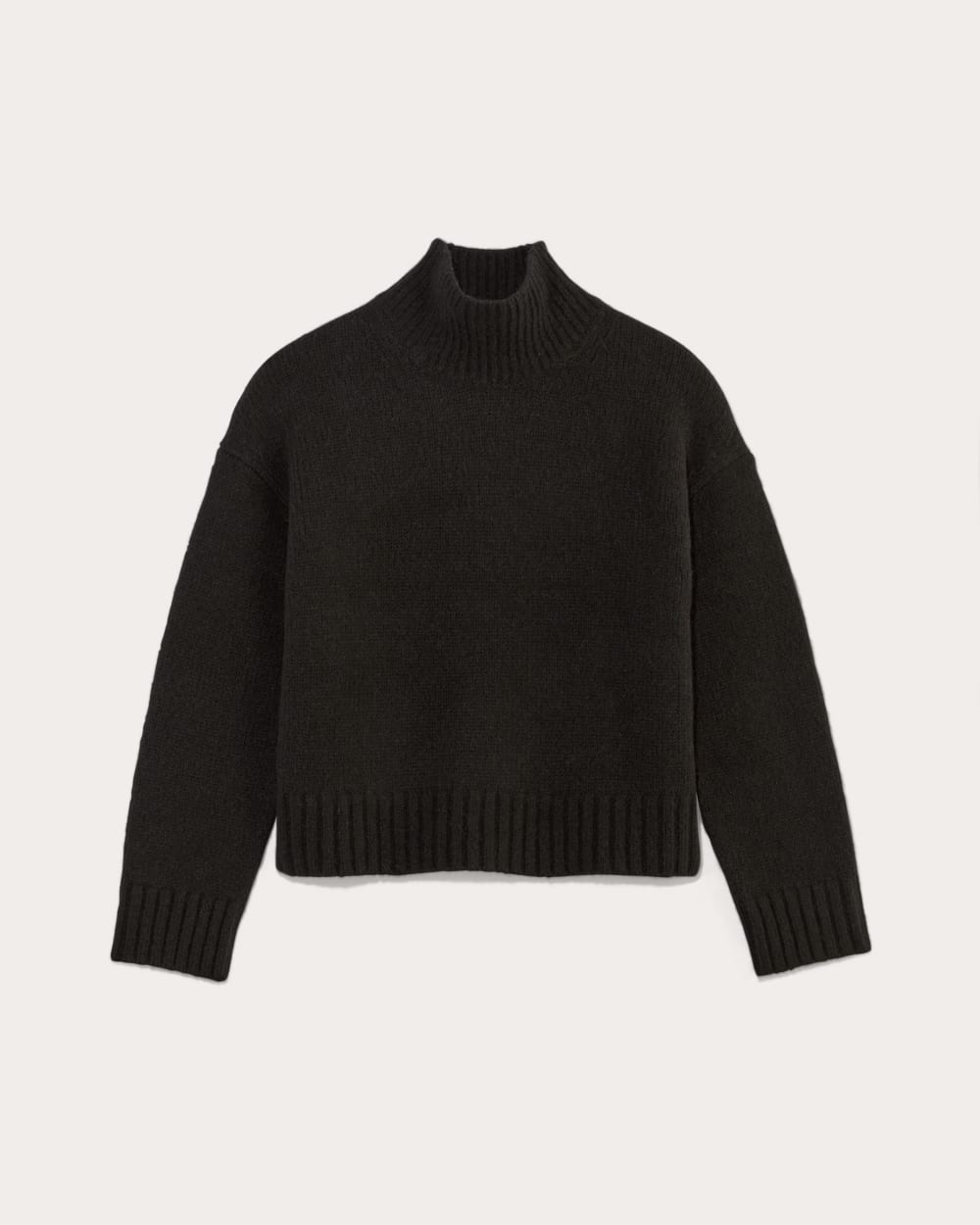 The Cloud Oversized Turtleneck Black Everlane