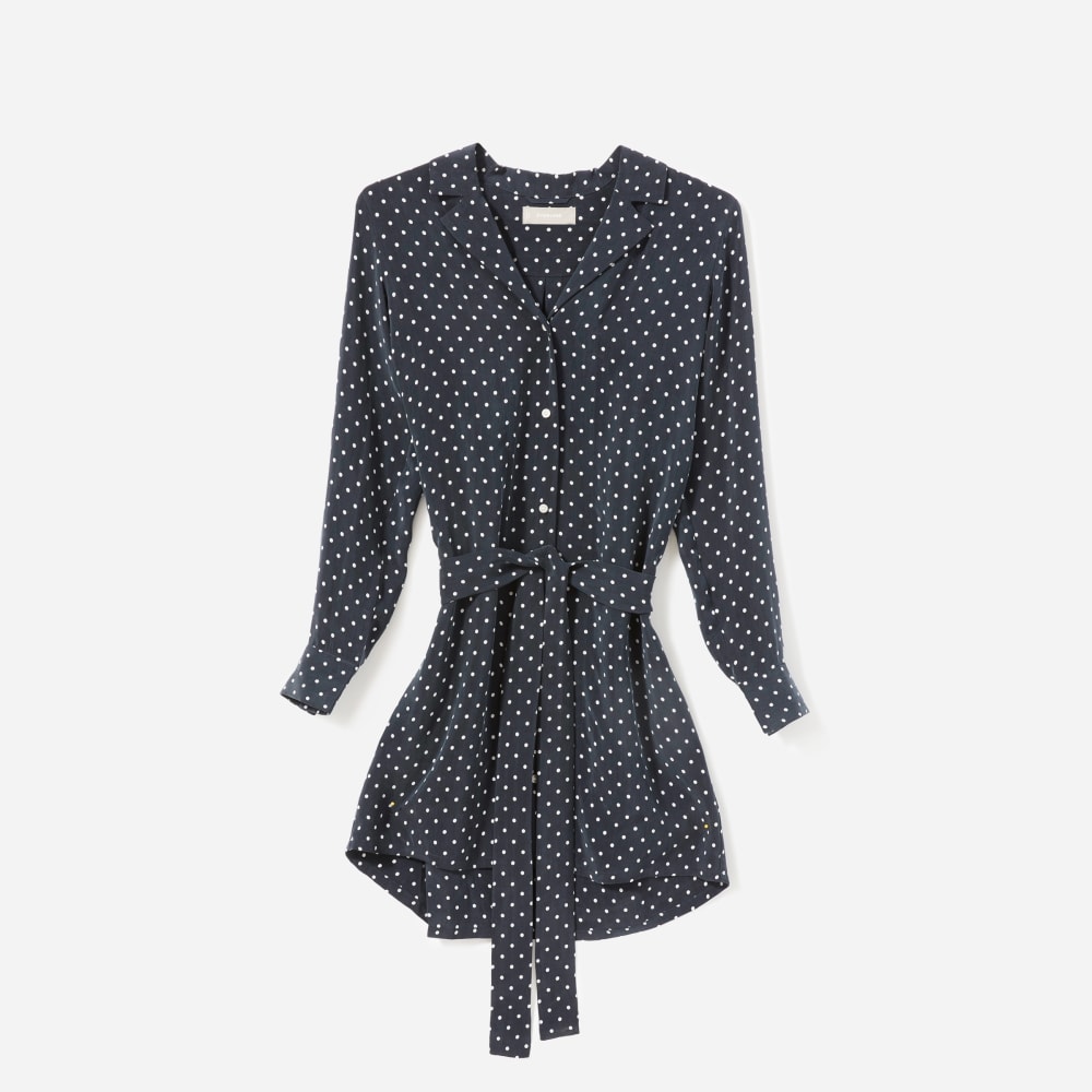 Everlane polka top dot shirt dress