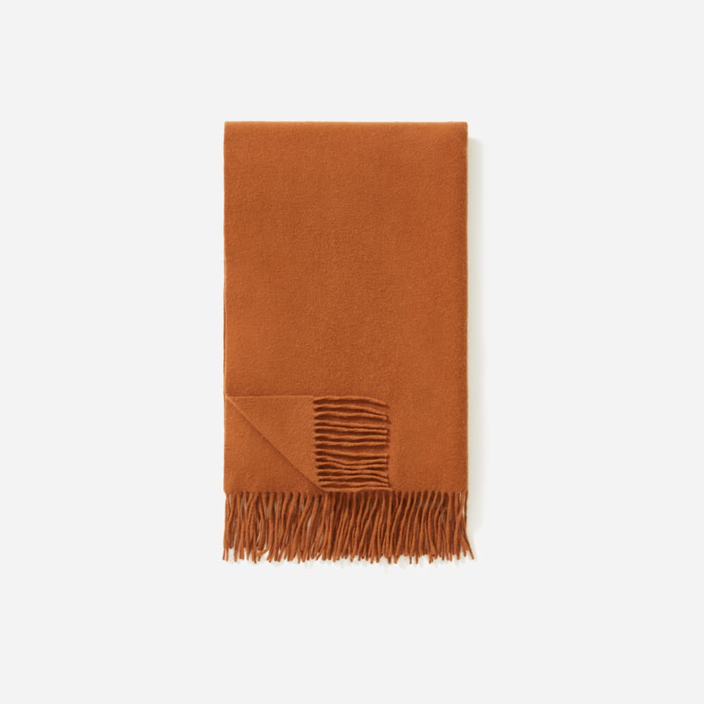 Everlane blanket cheap scarf
