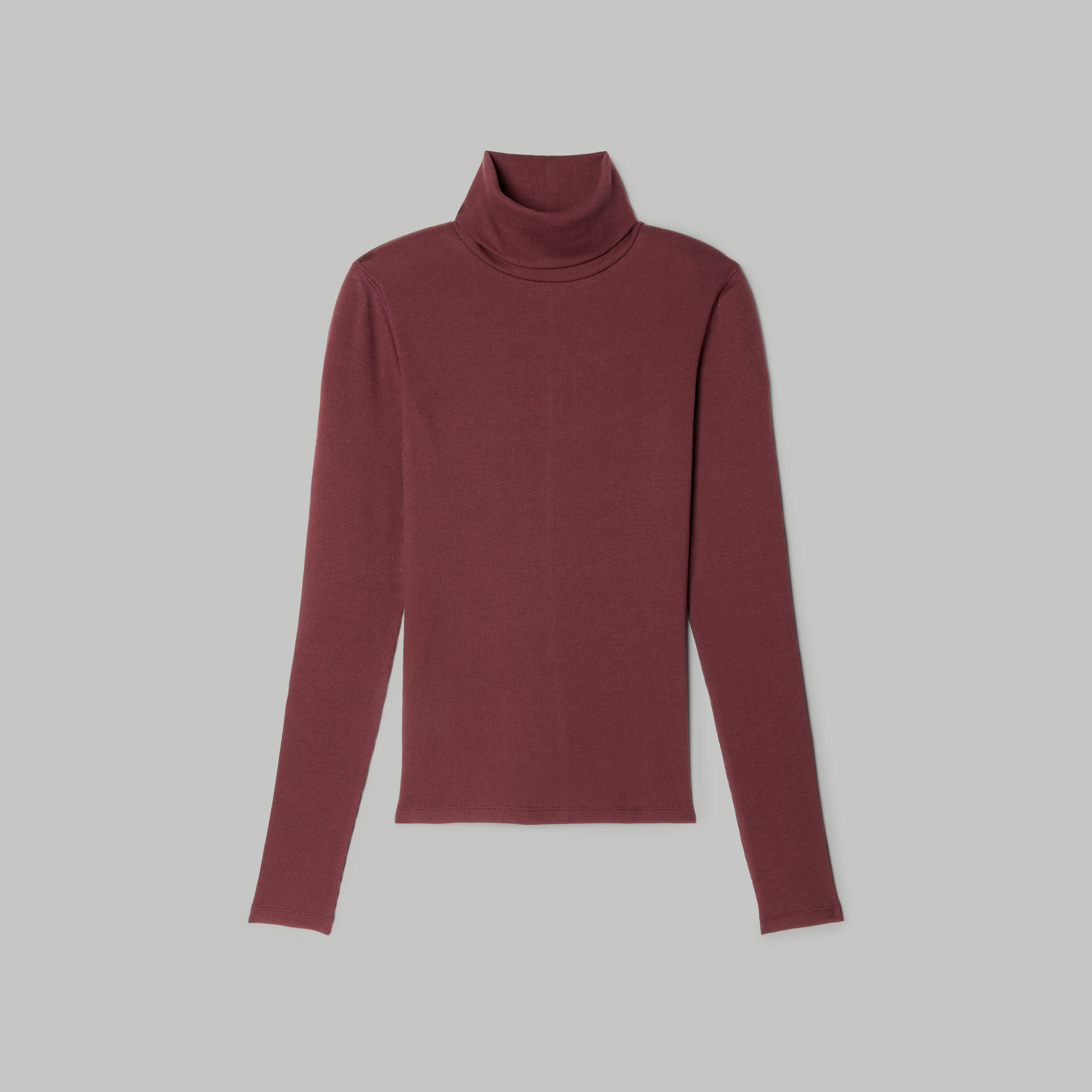 Everlane store pima turtleneck
