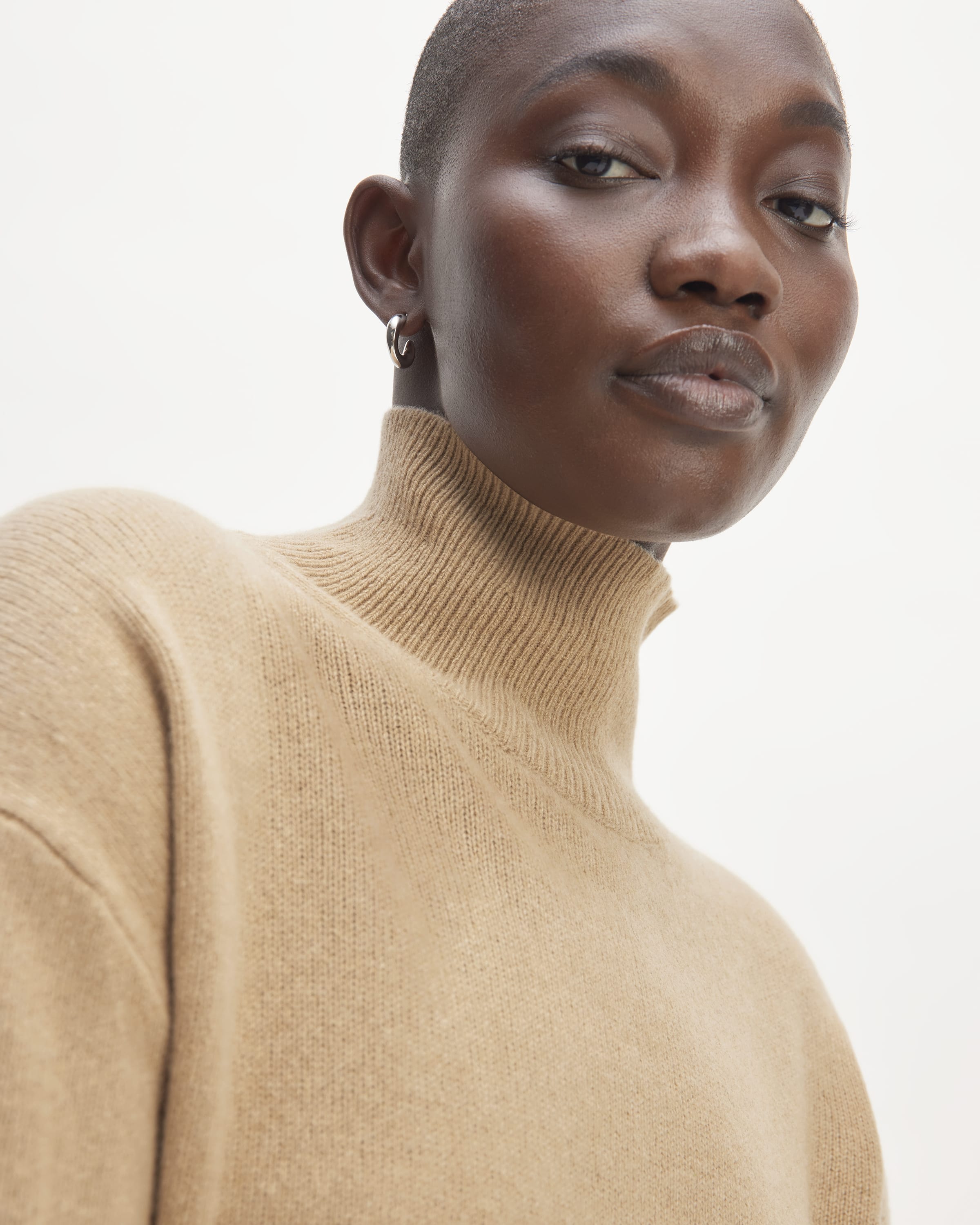 Everlane hotsell cashmere turtleneck