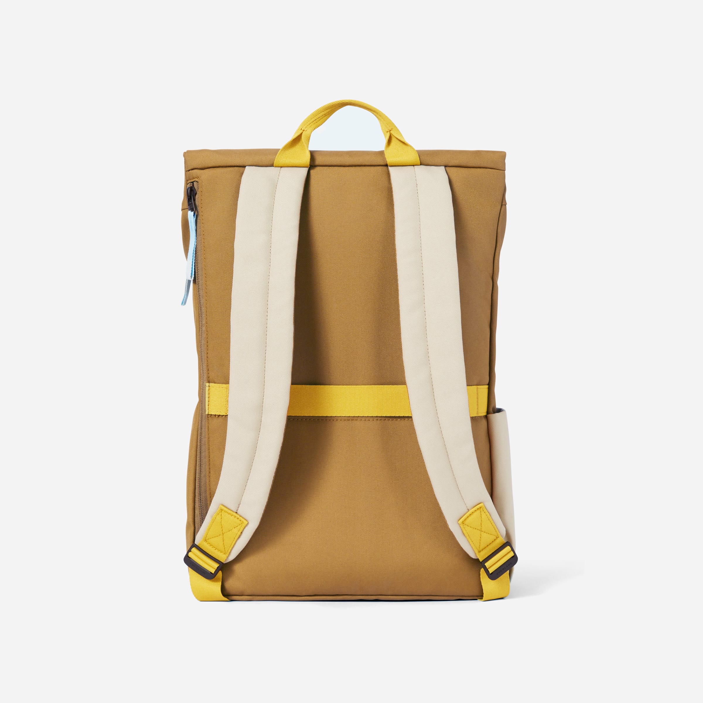 everlane laptop backpack