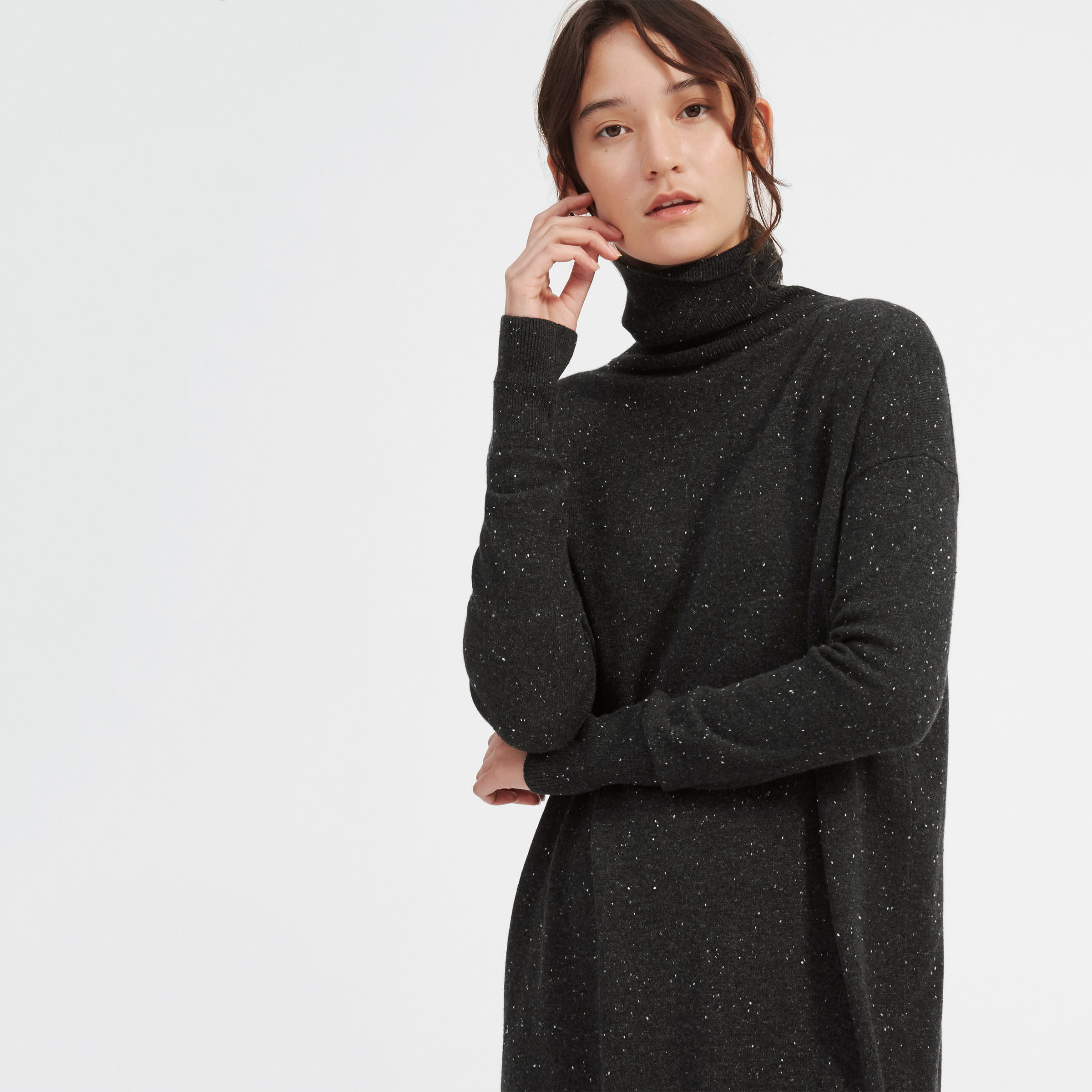 Everlane hotsell sweatshirt dress