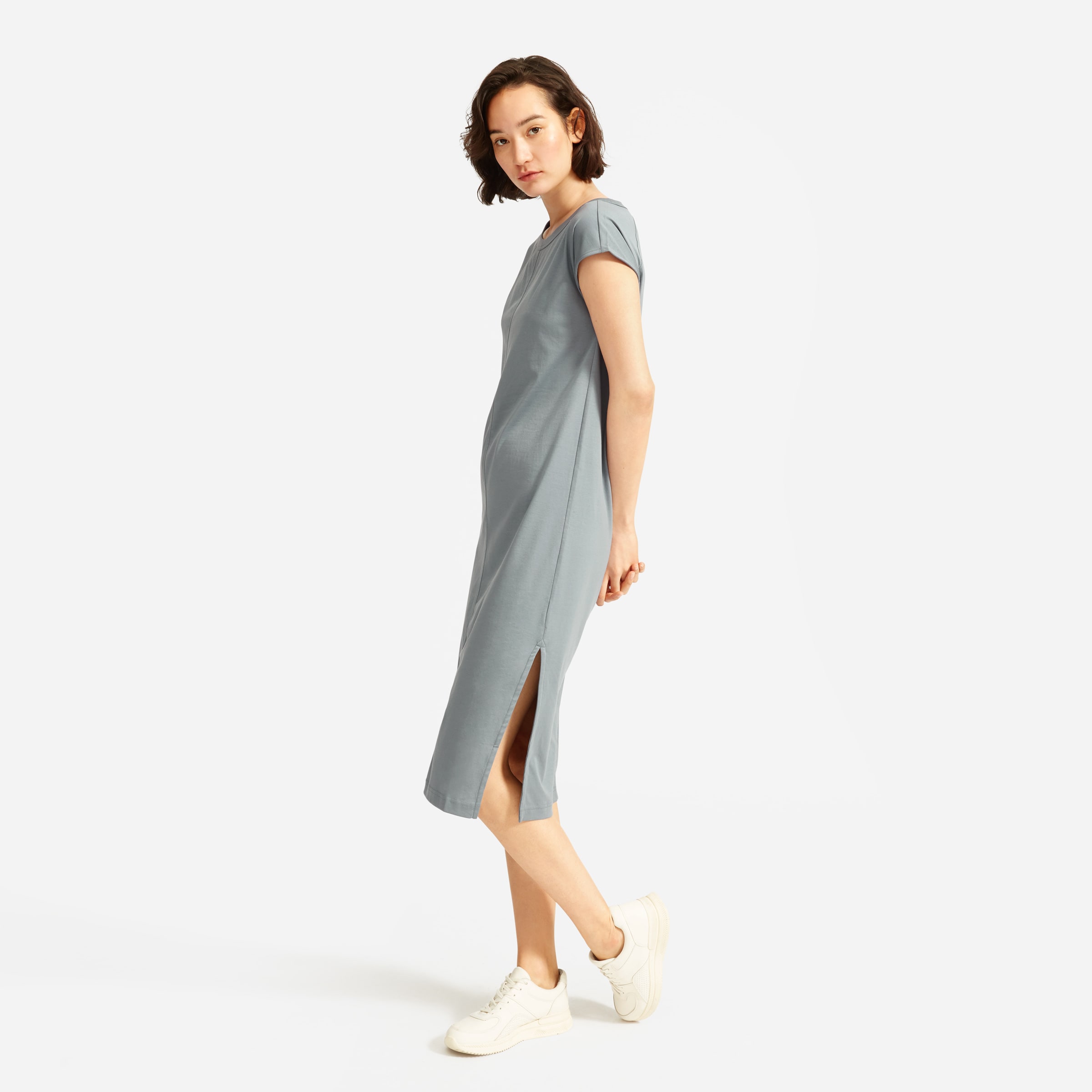 everlane sweatshirt dress