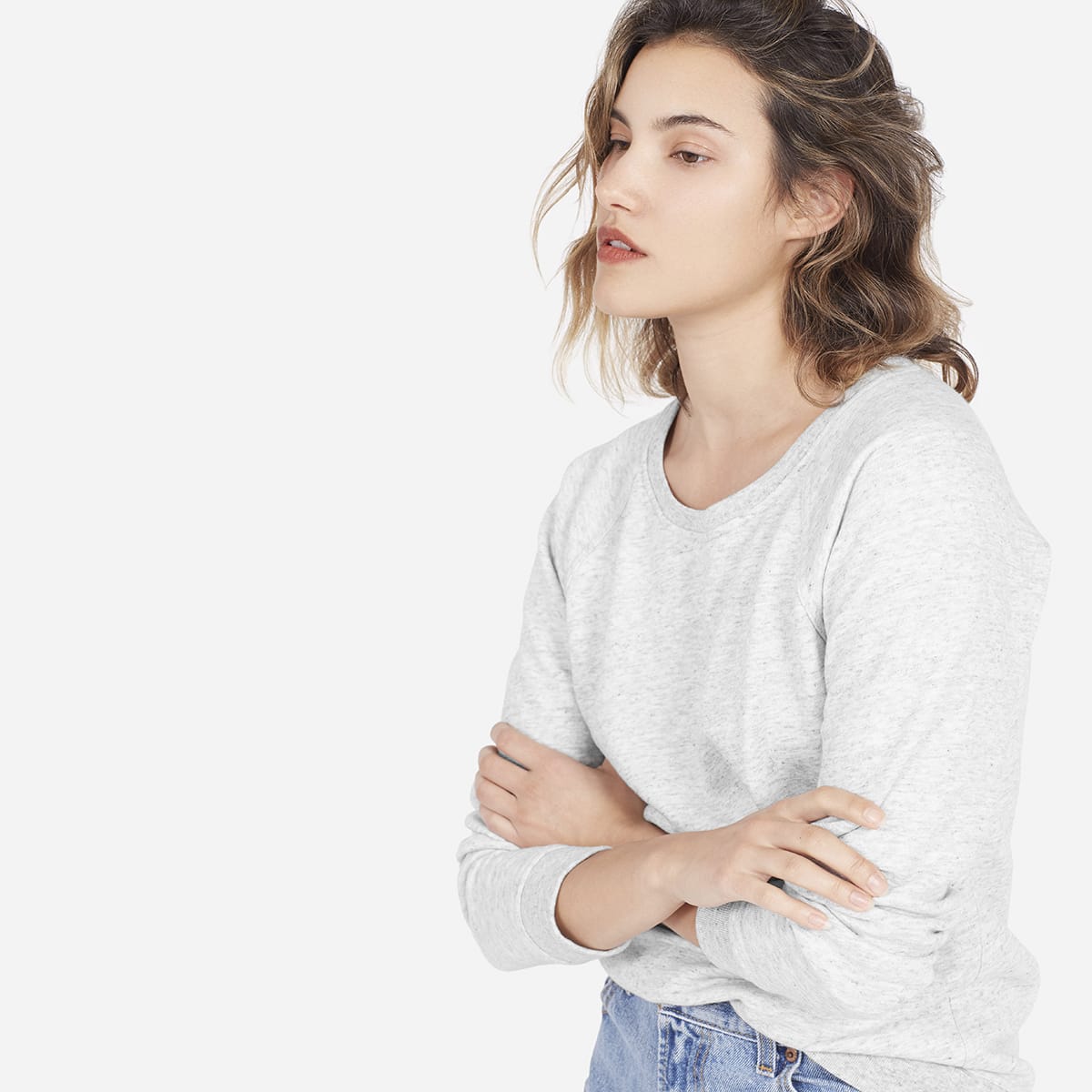everlane crew sweatshirt