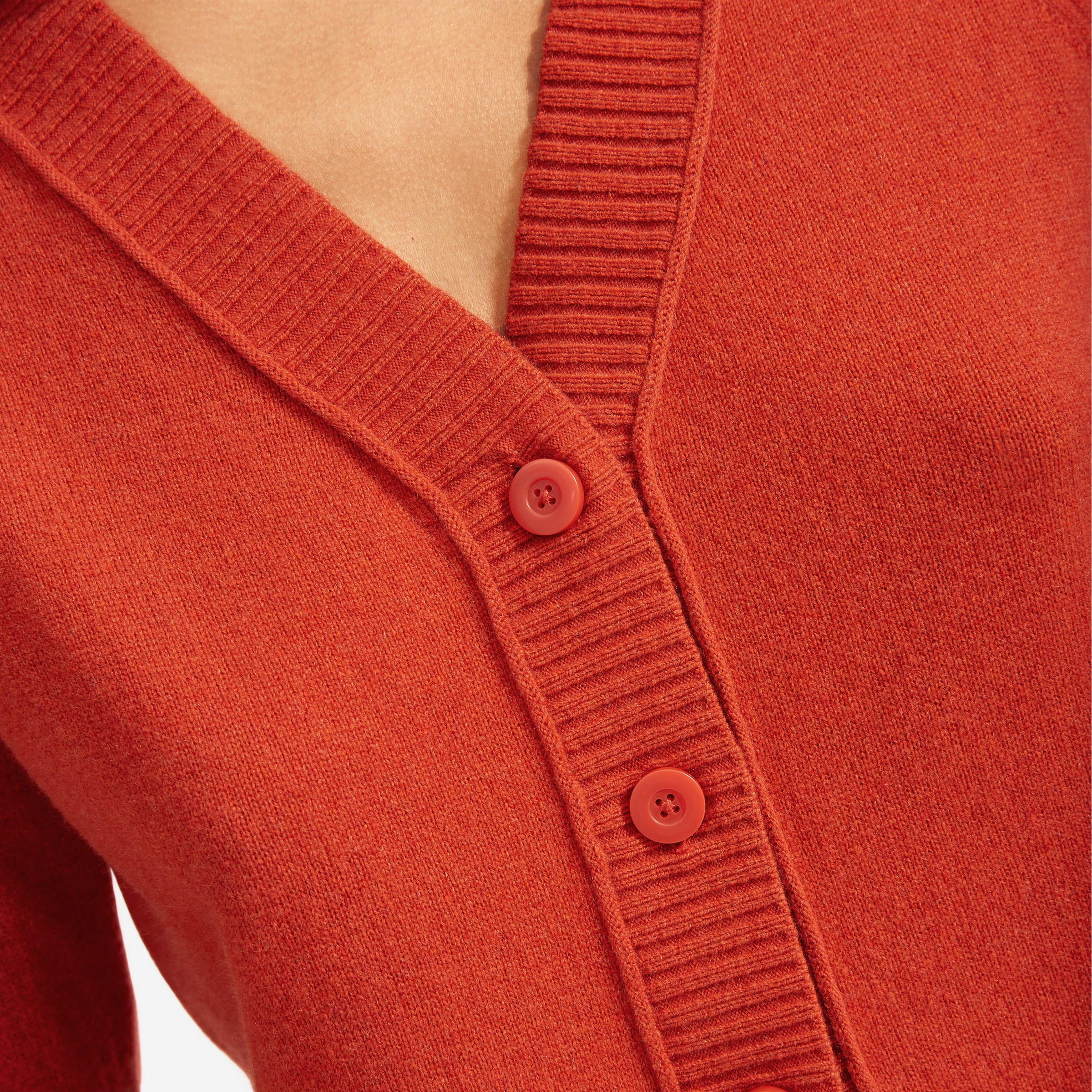 everlane varsity cardigan