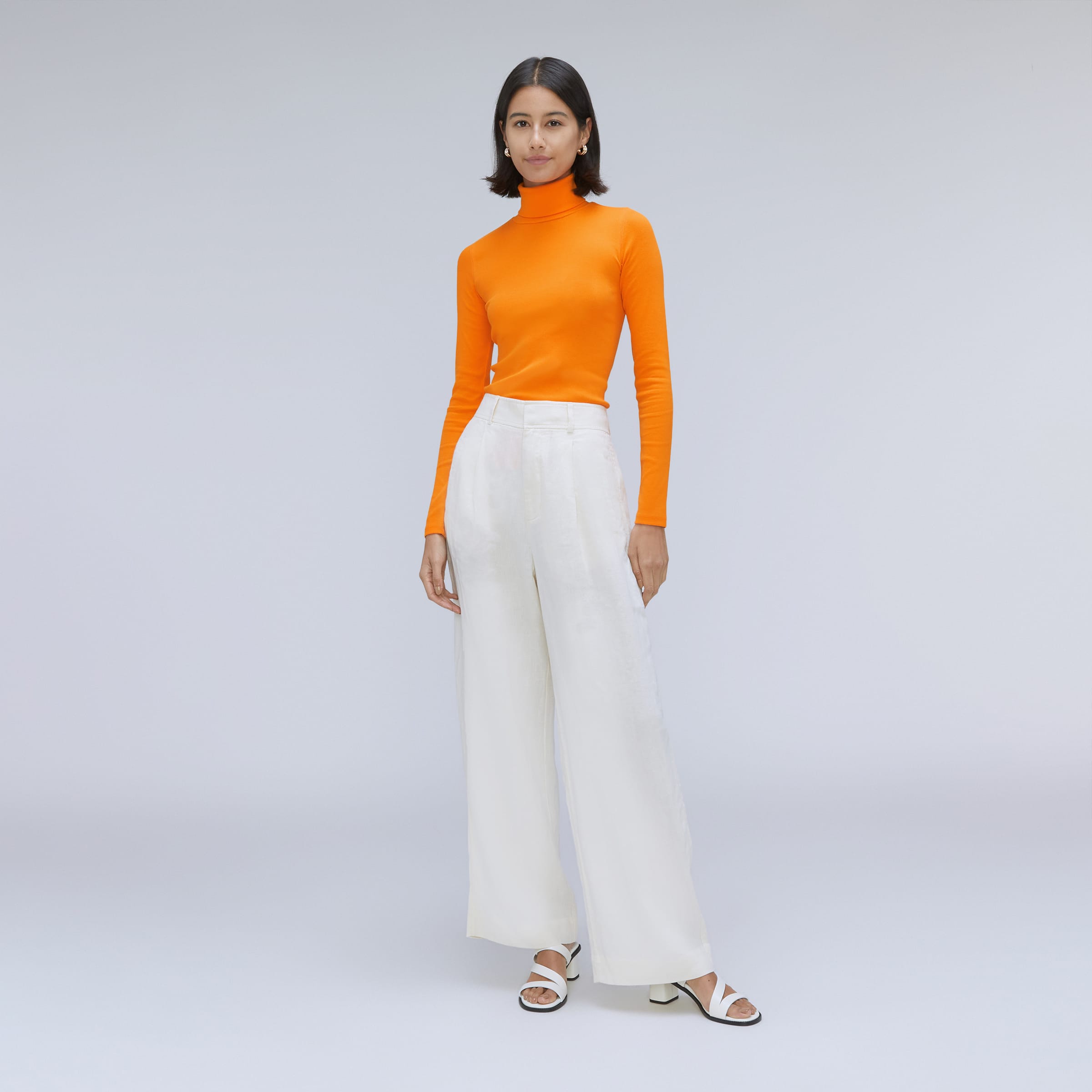 Everlane pima micro rib turtleneck cheap