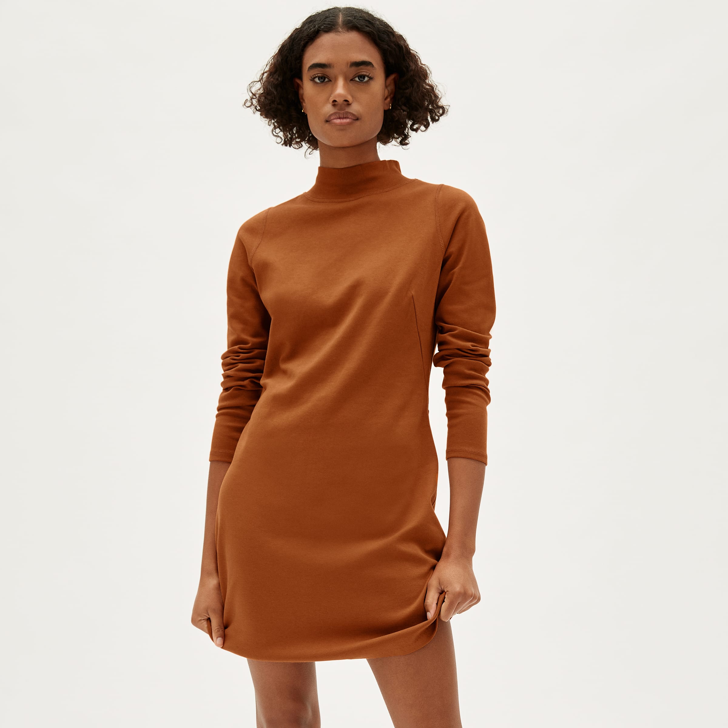 carters holiday sweater dress