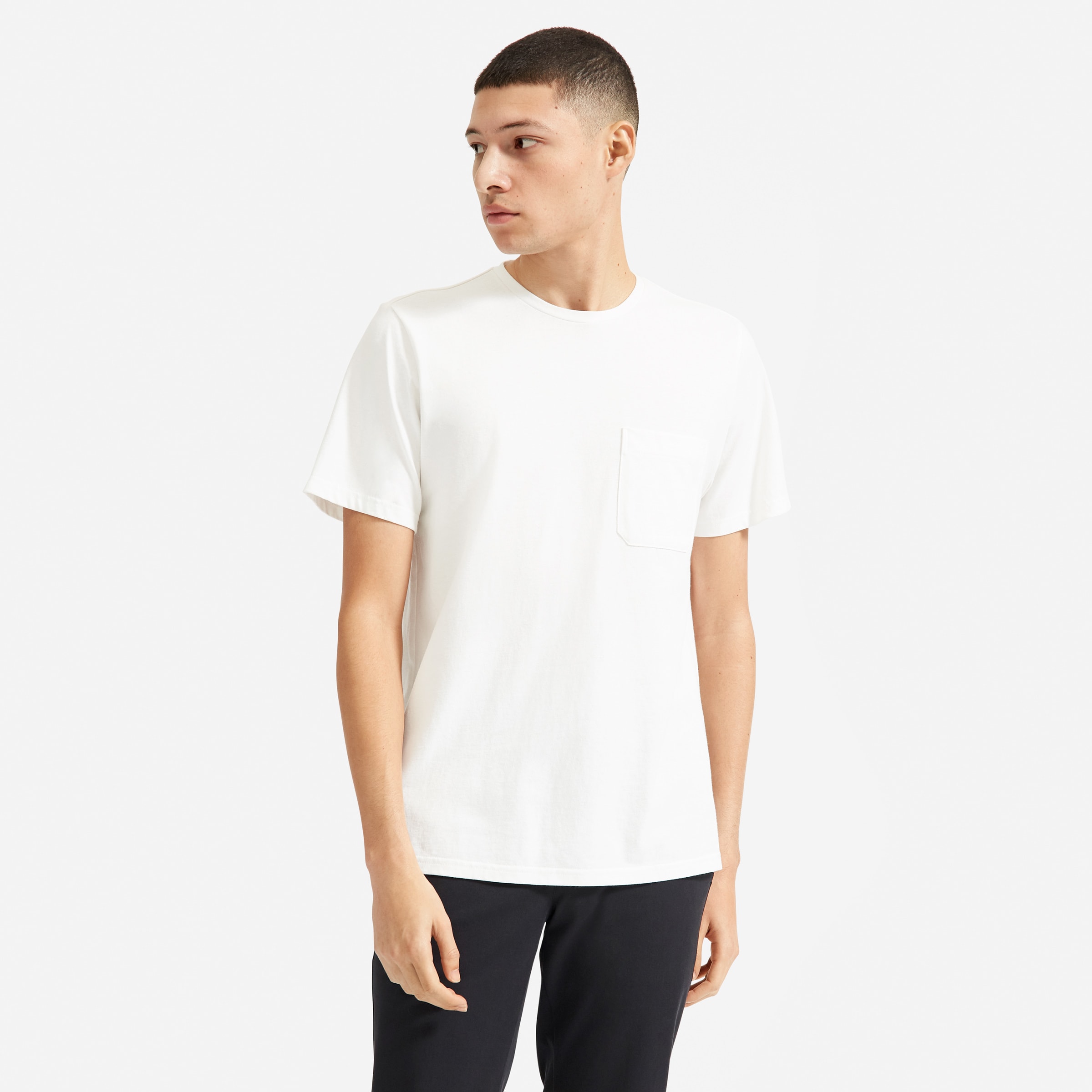 everlane mens t shirts