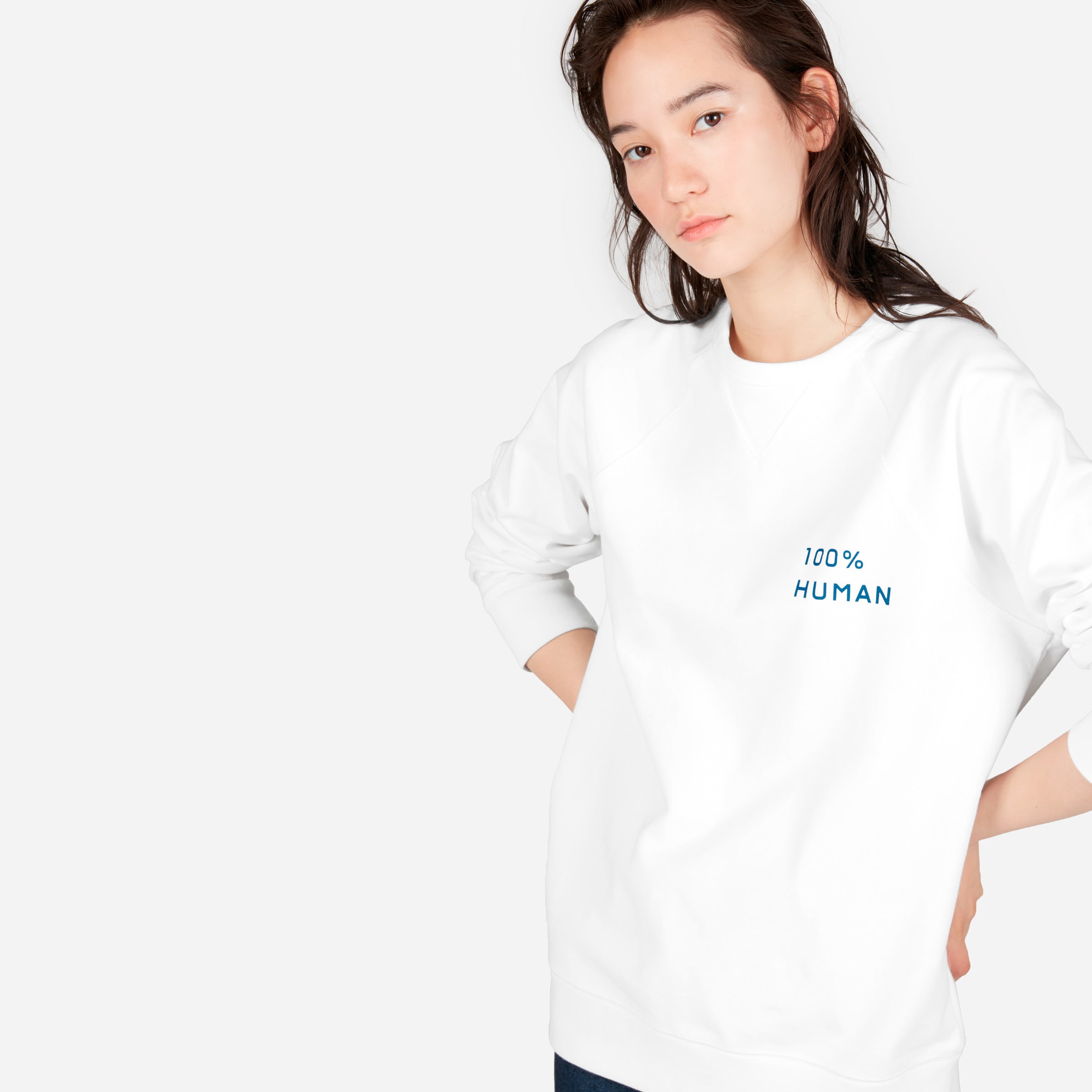 everlane 100 human hoodie