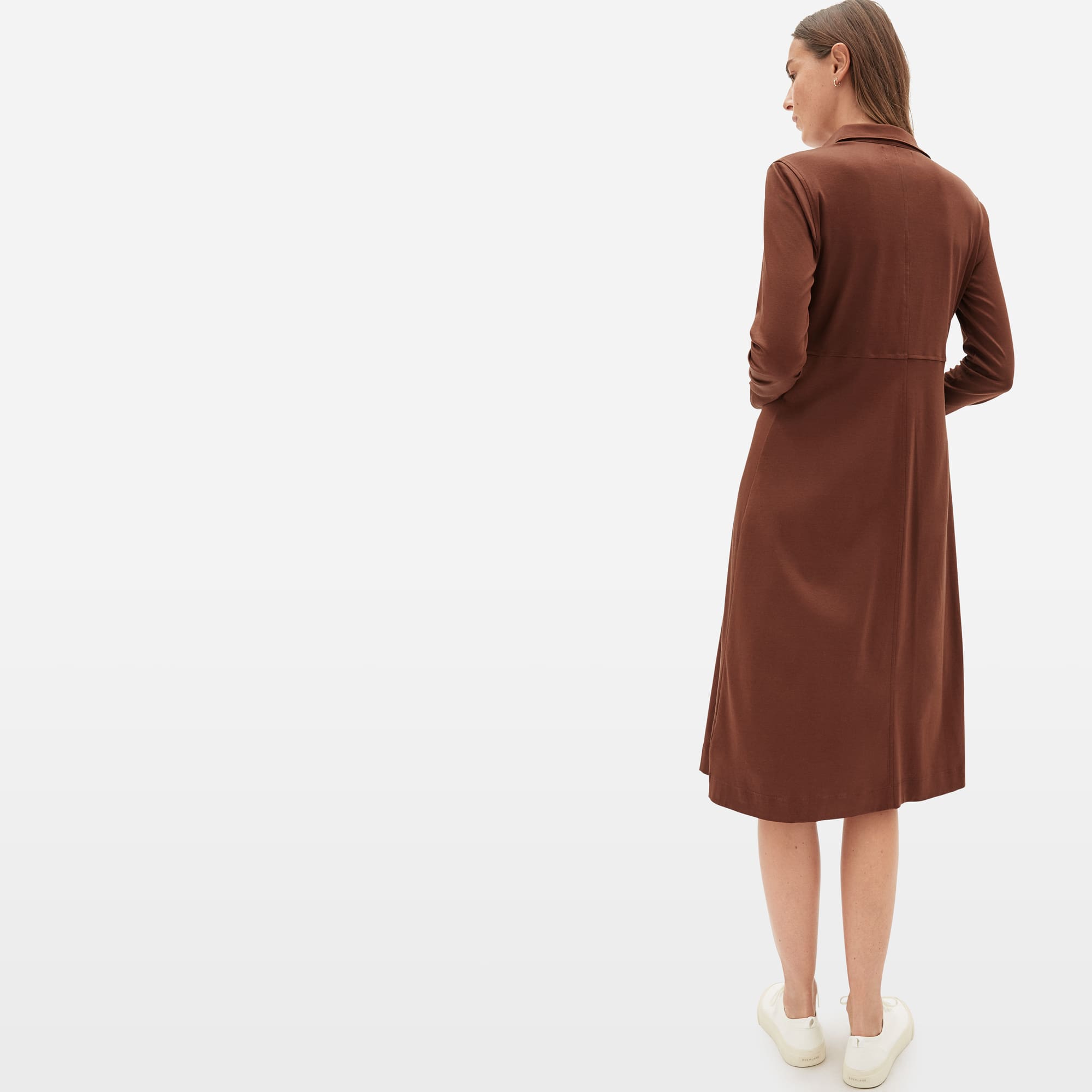 everlane luxe cotton shirt dress