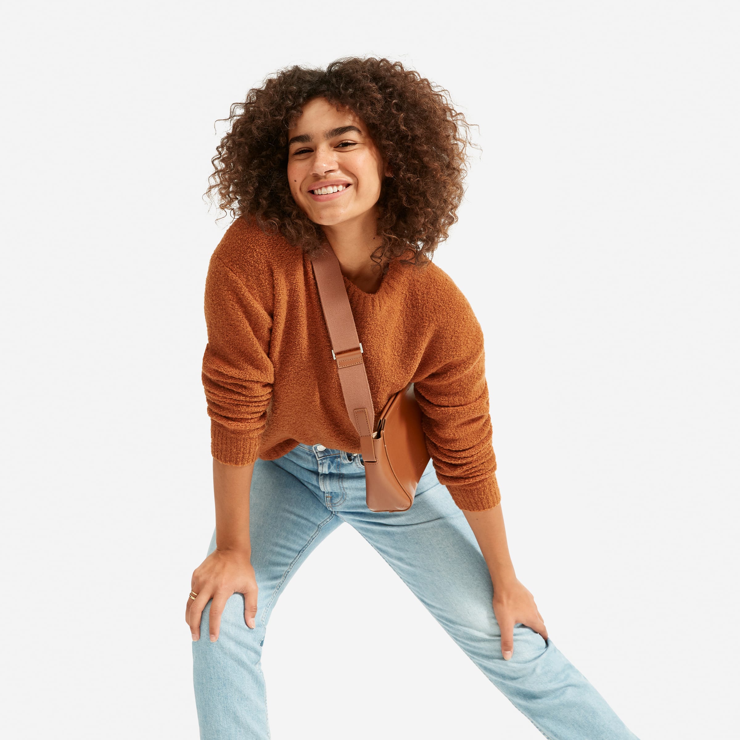 Everlane teddy wool hot sale sweater