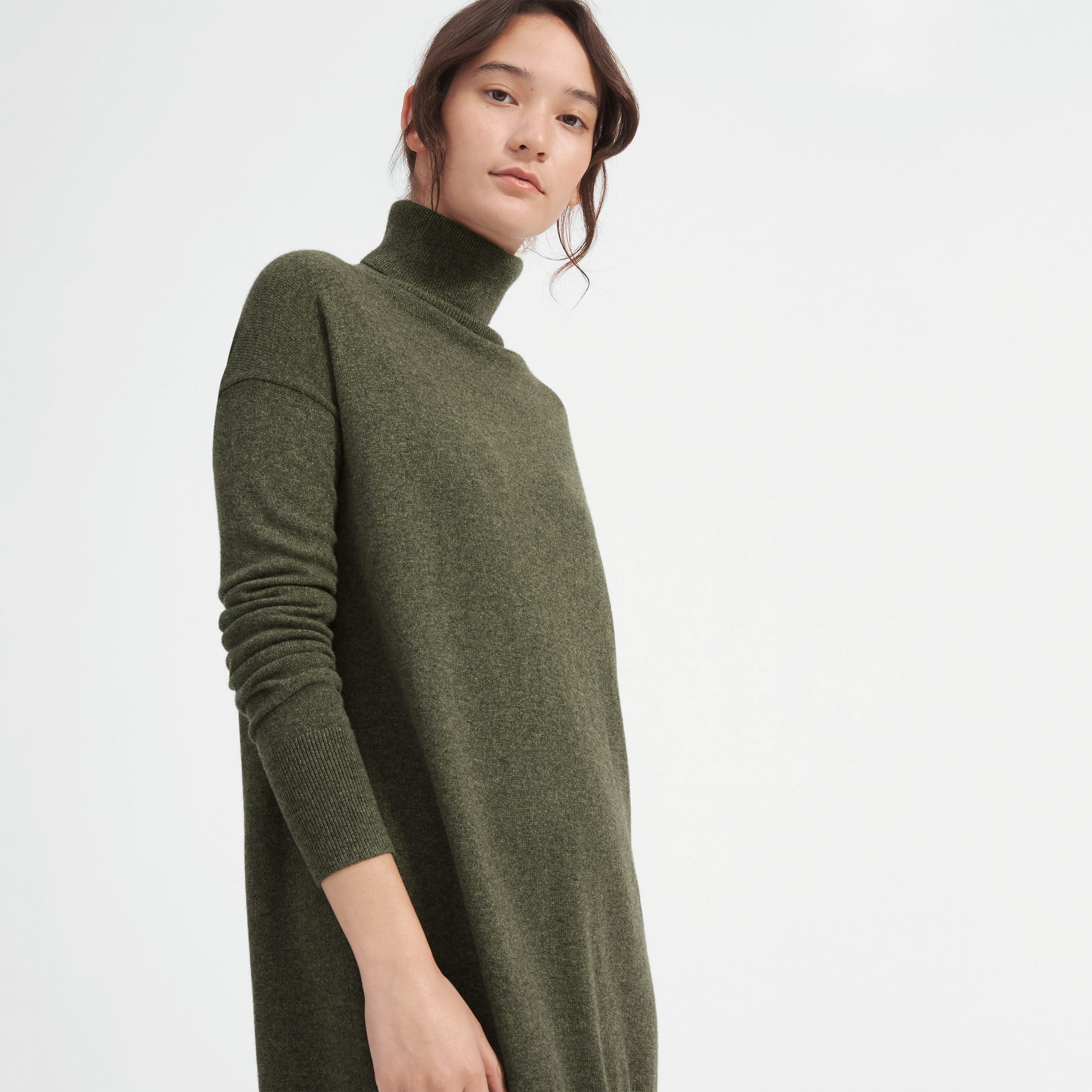 everlane turtleneck dress