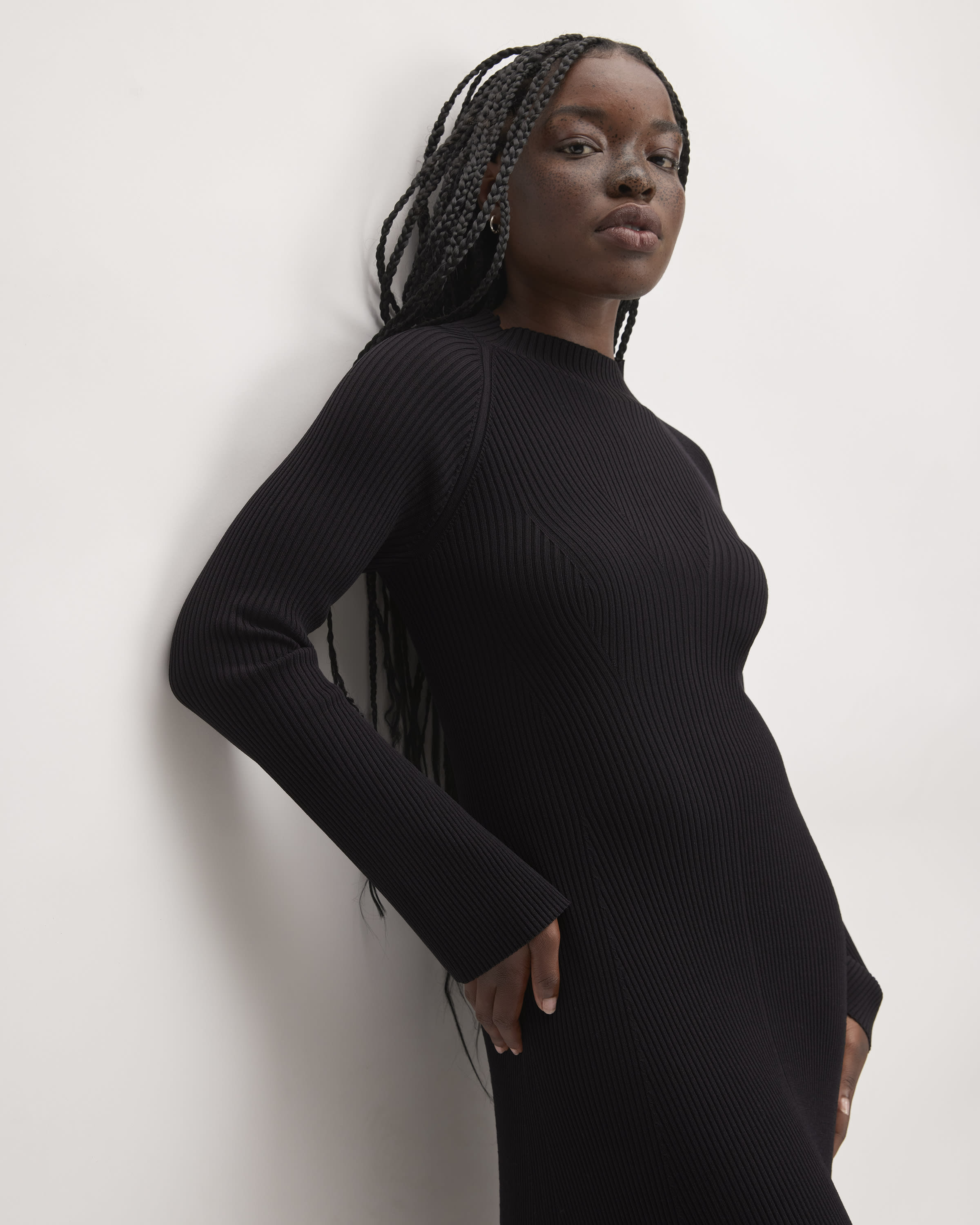 Everlane turtleneck dress on sale