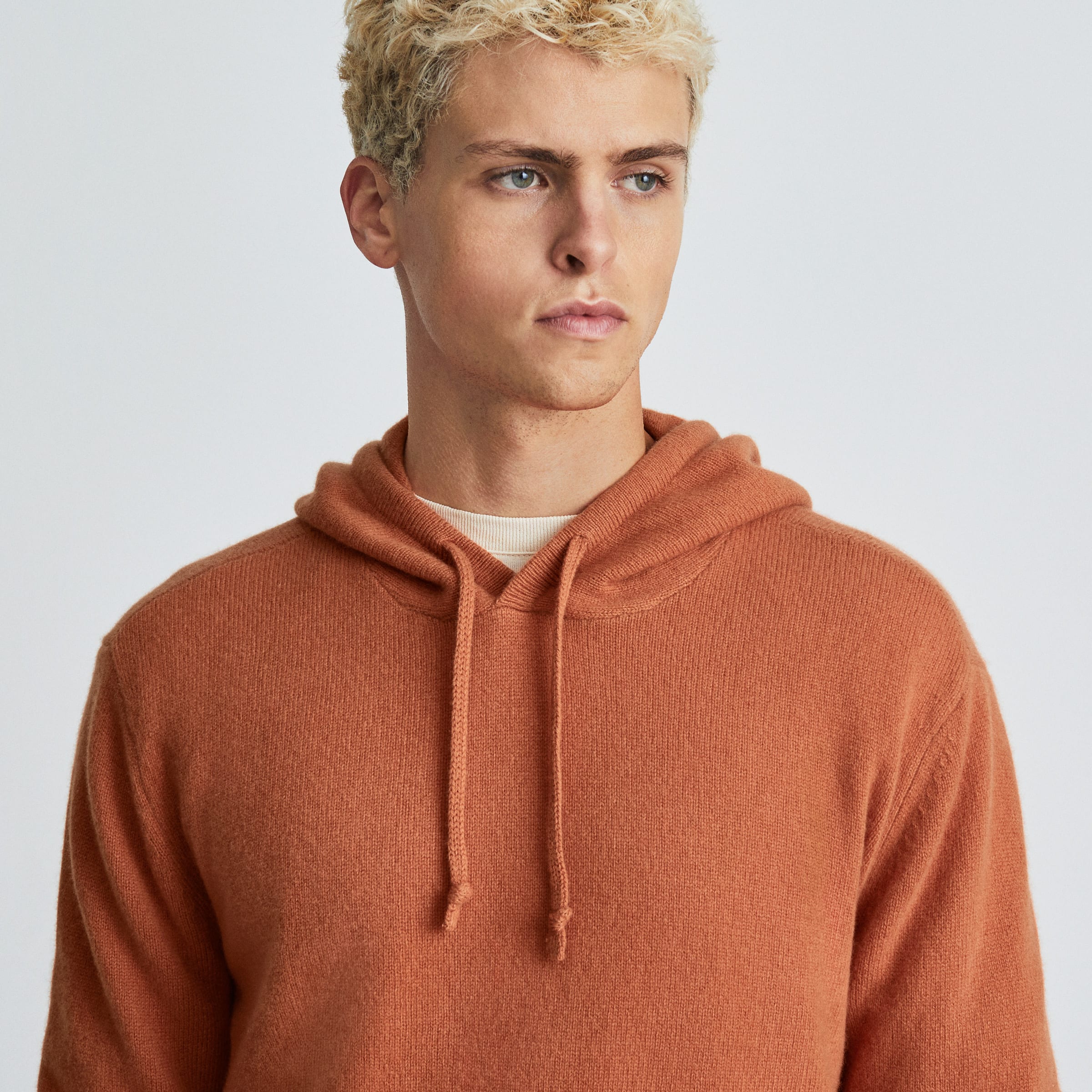 Everlane clearance merino hoodie