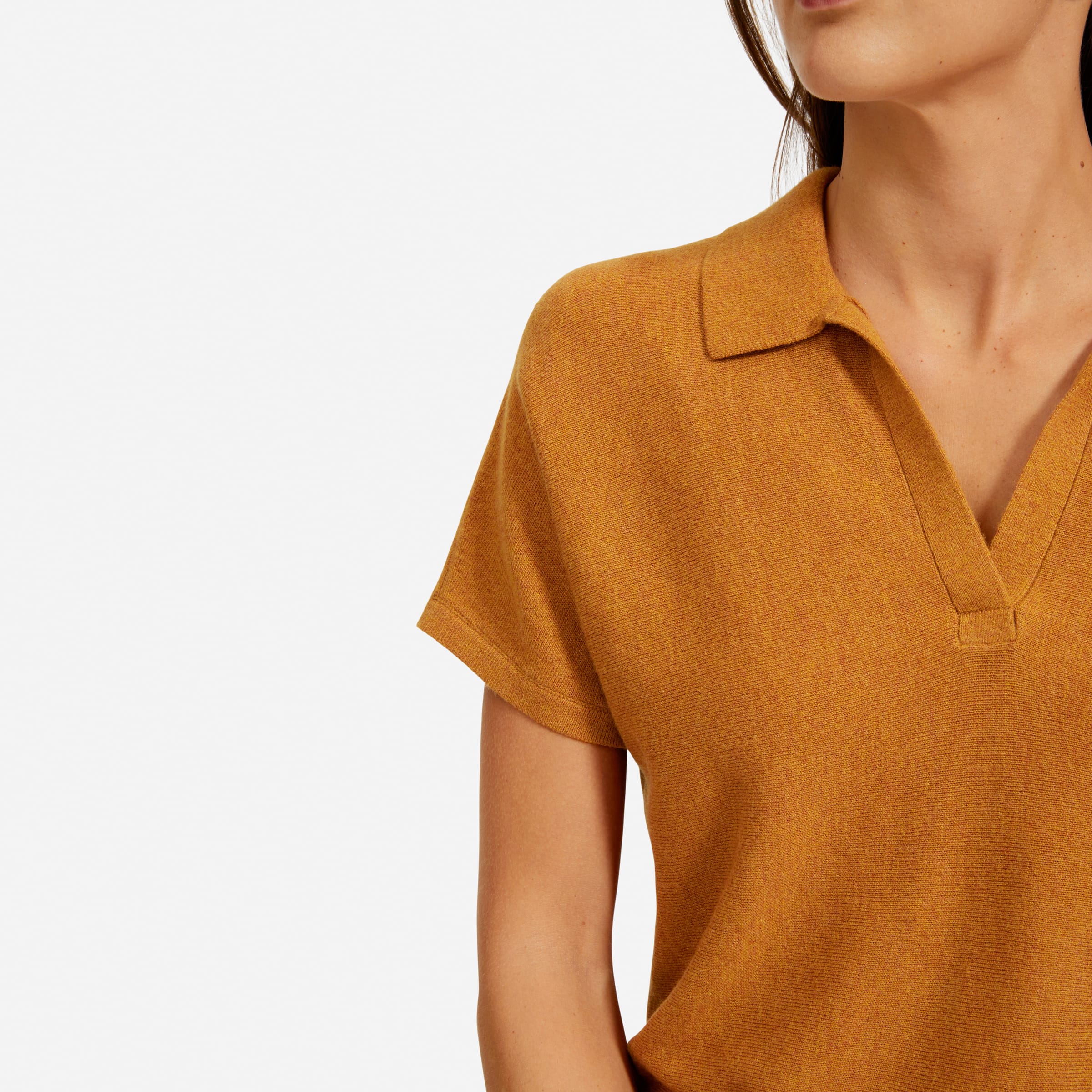 The Cotton Merino Polo Everlane