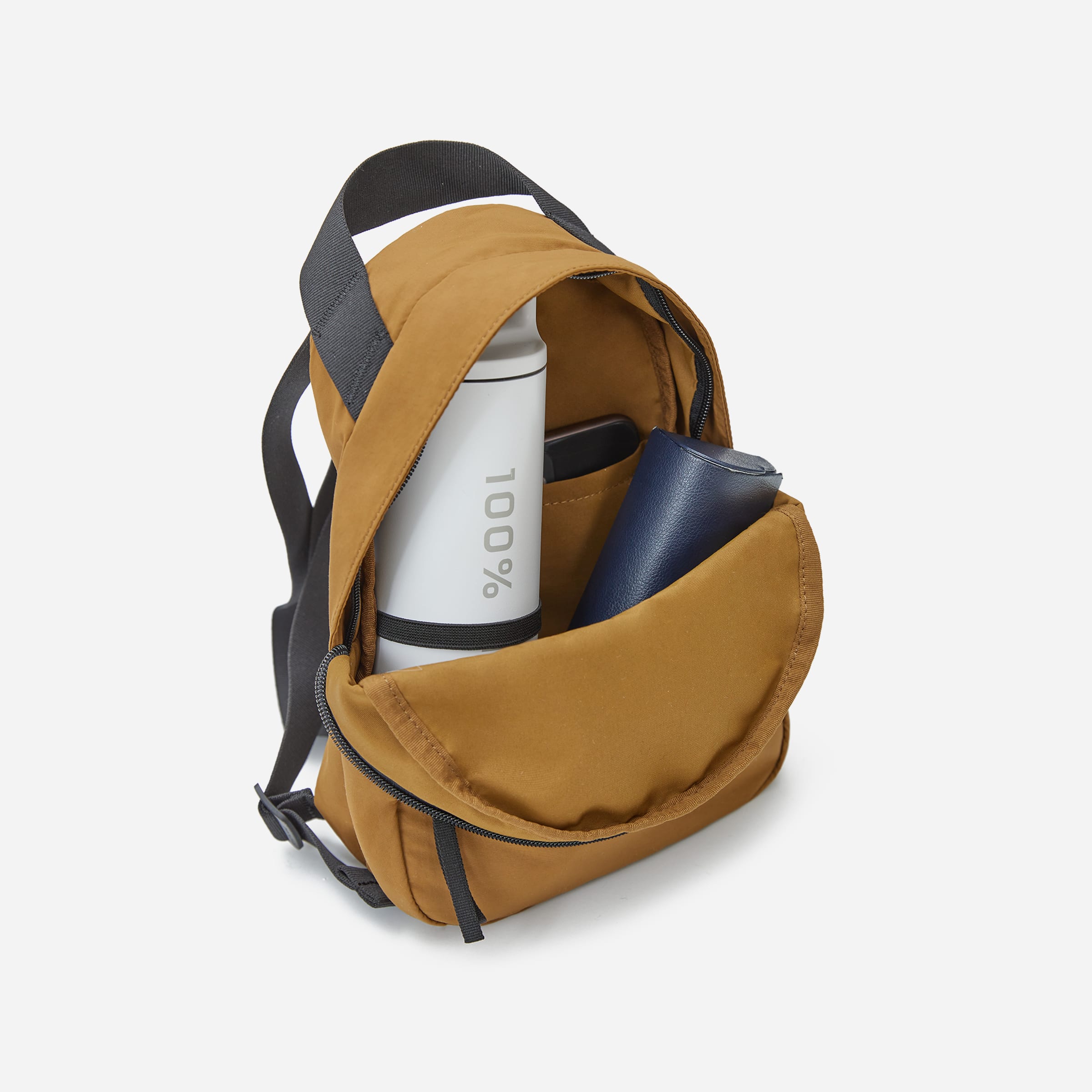 Everlane mini backpack 2025