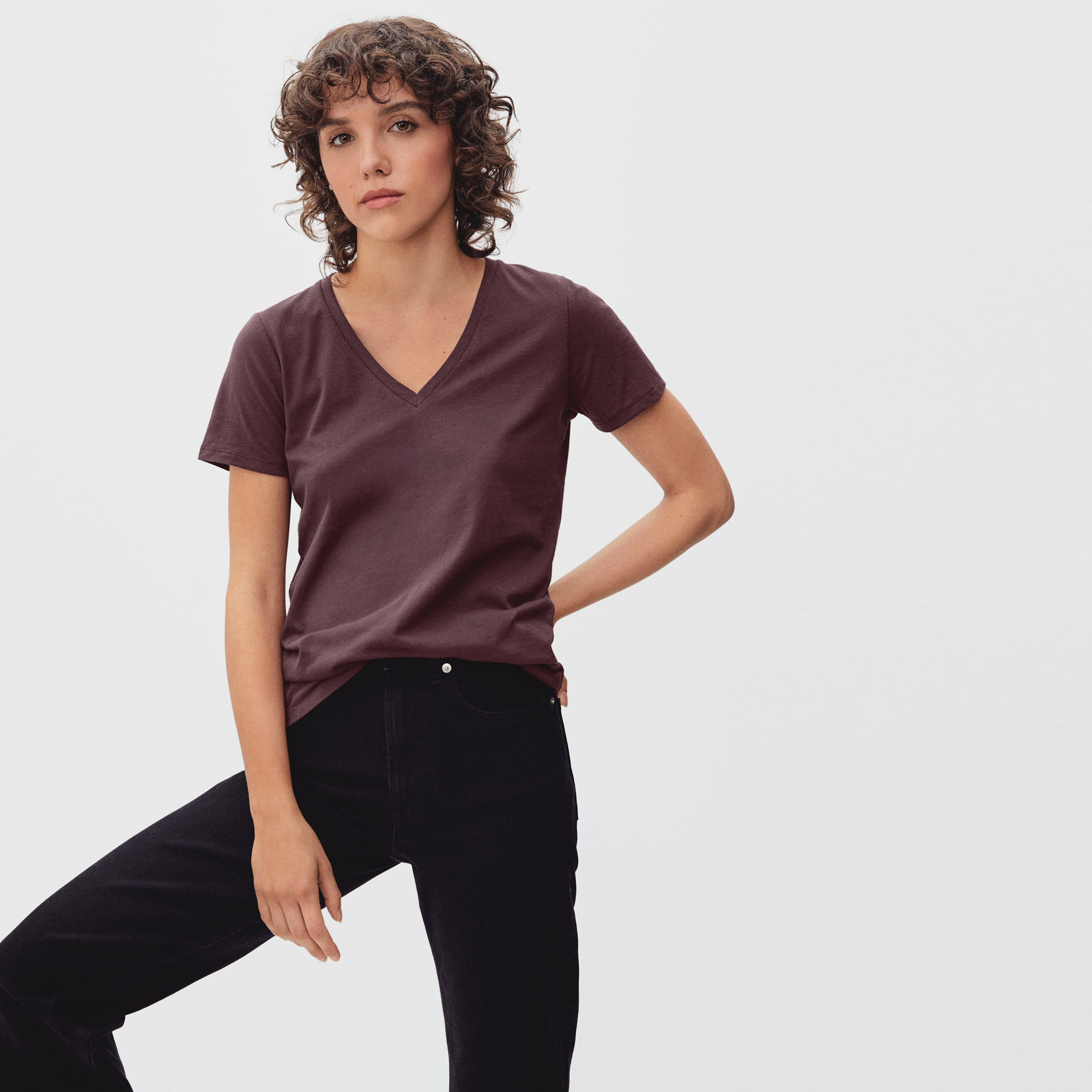 Everlane v neck t shirt Clearance