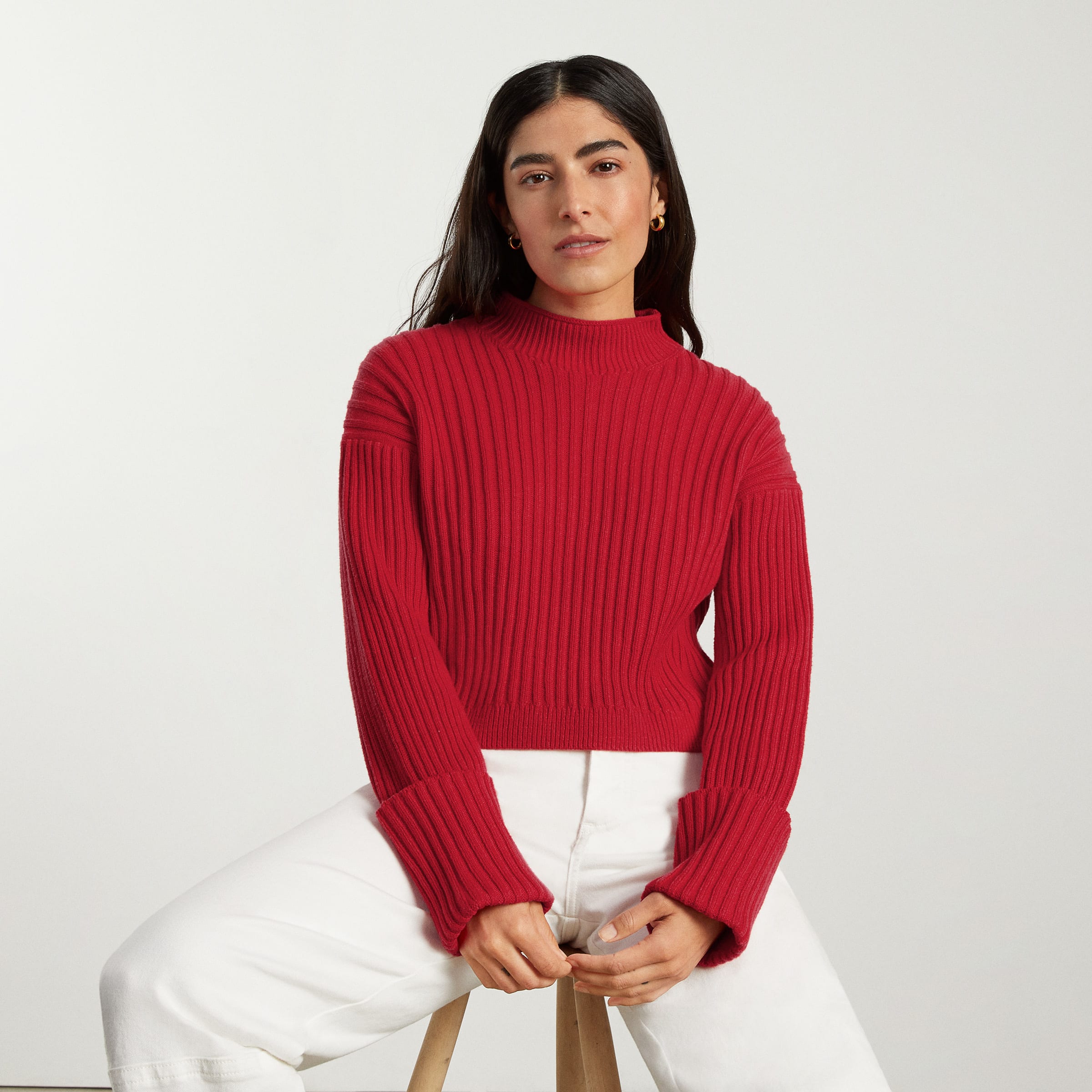 The Cotton Ribbed Rollneck Sweater Goji Berry Everlane