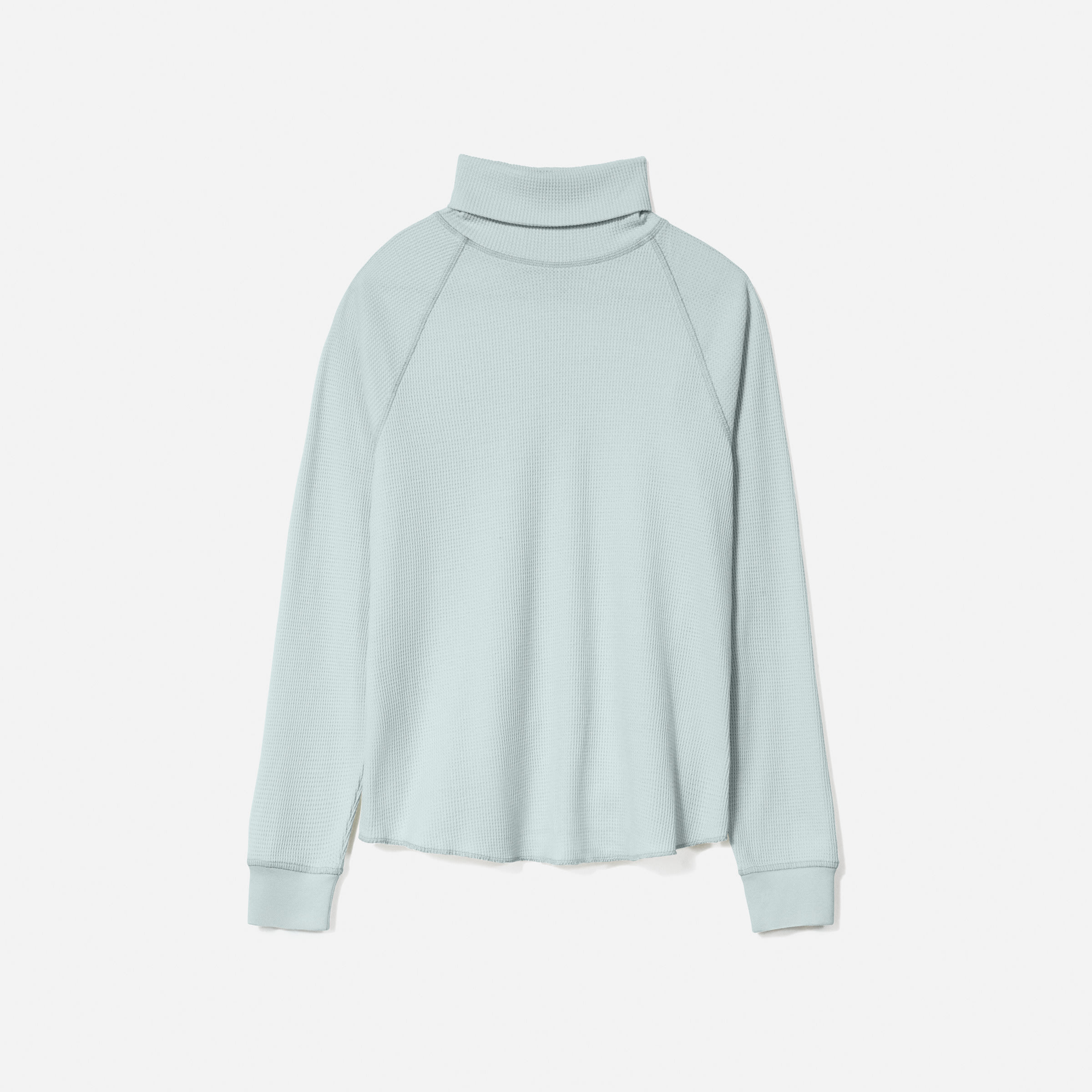 The Organic Cotton Turtleneck Waffle Tee Ice Blue Everlane