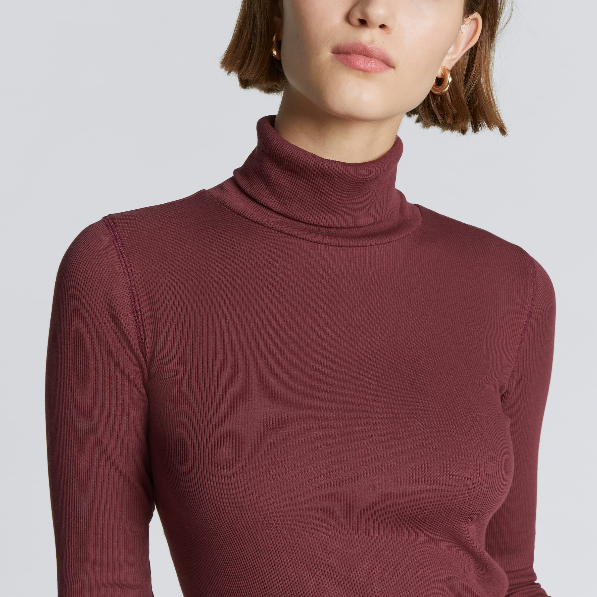Everlane store pima turtleneck