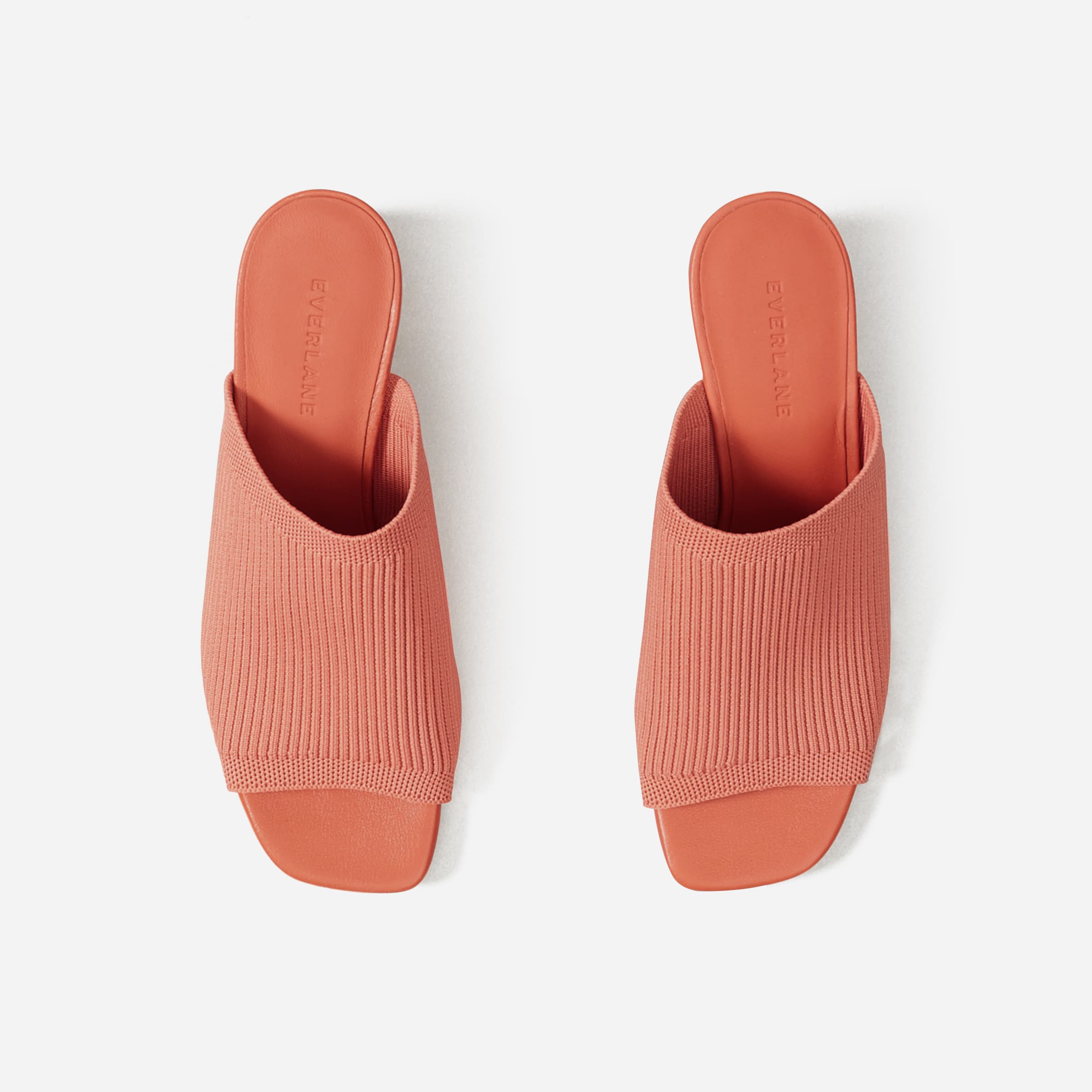 everlane glove mule