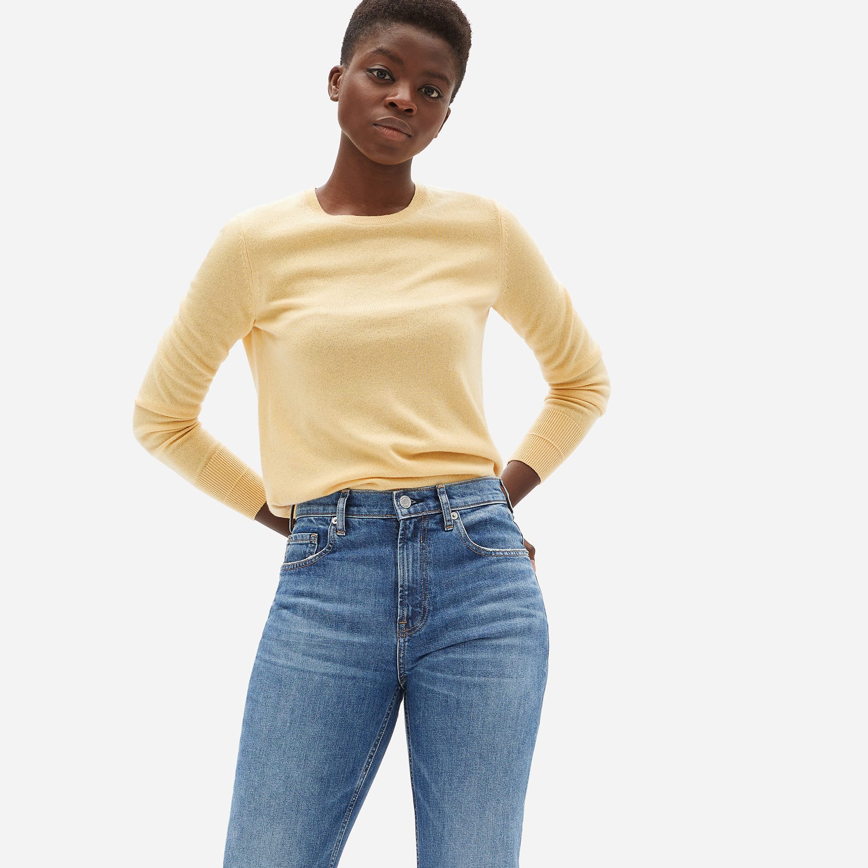 Everlane cashmere shop crew sweater