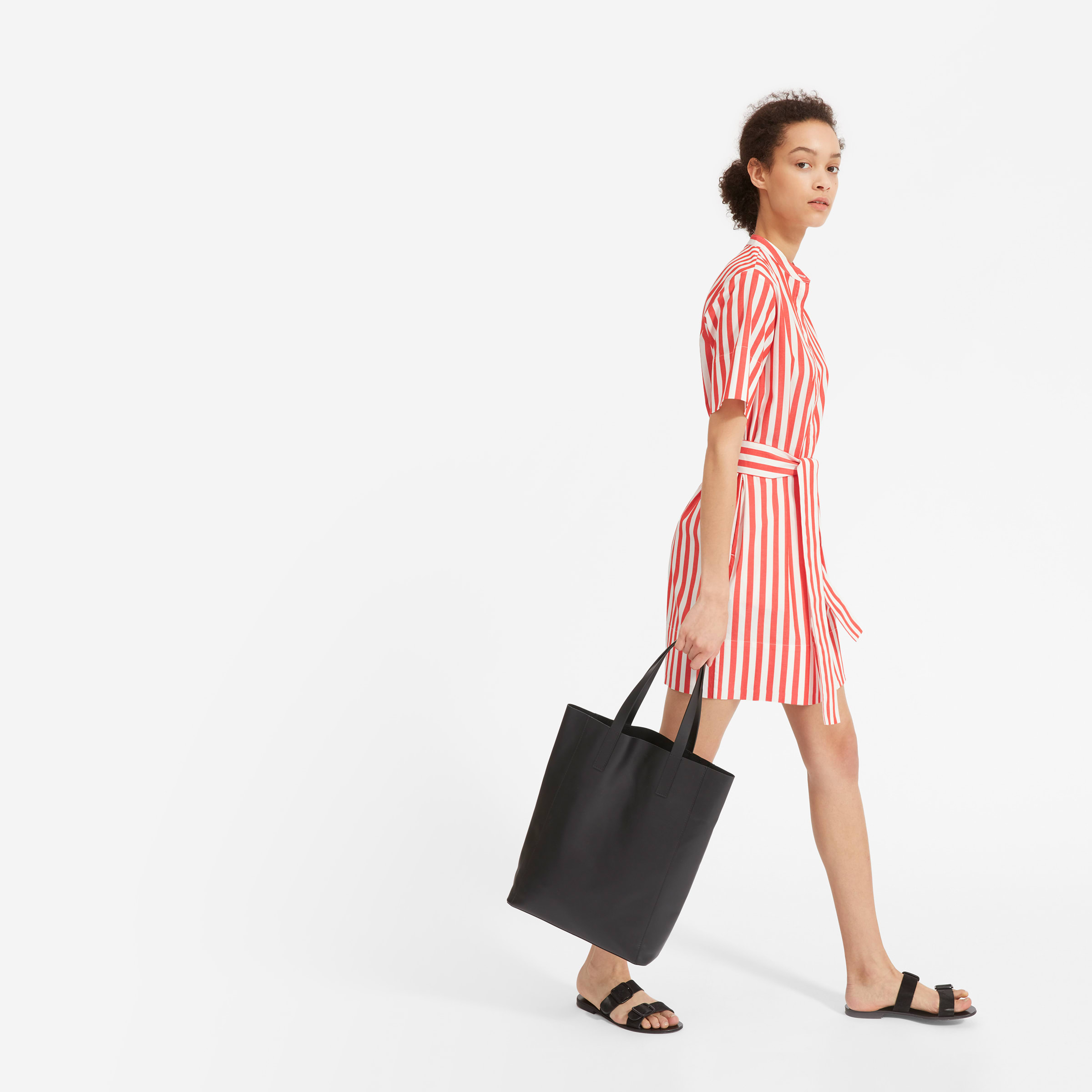 Everlane collarless 2025 shirt dress