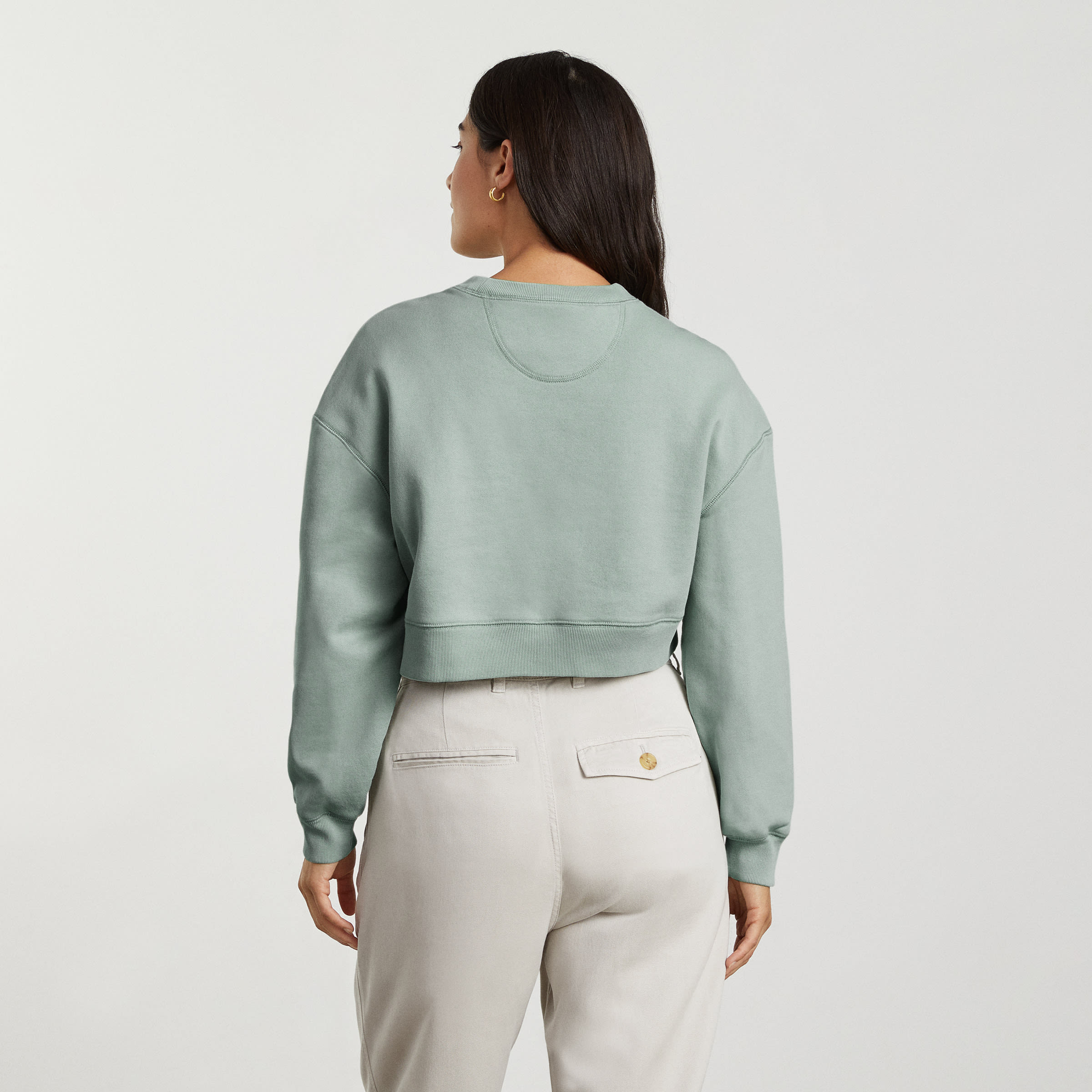Everlane hot sale cropped sweatshirt