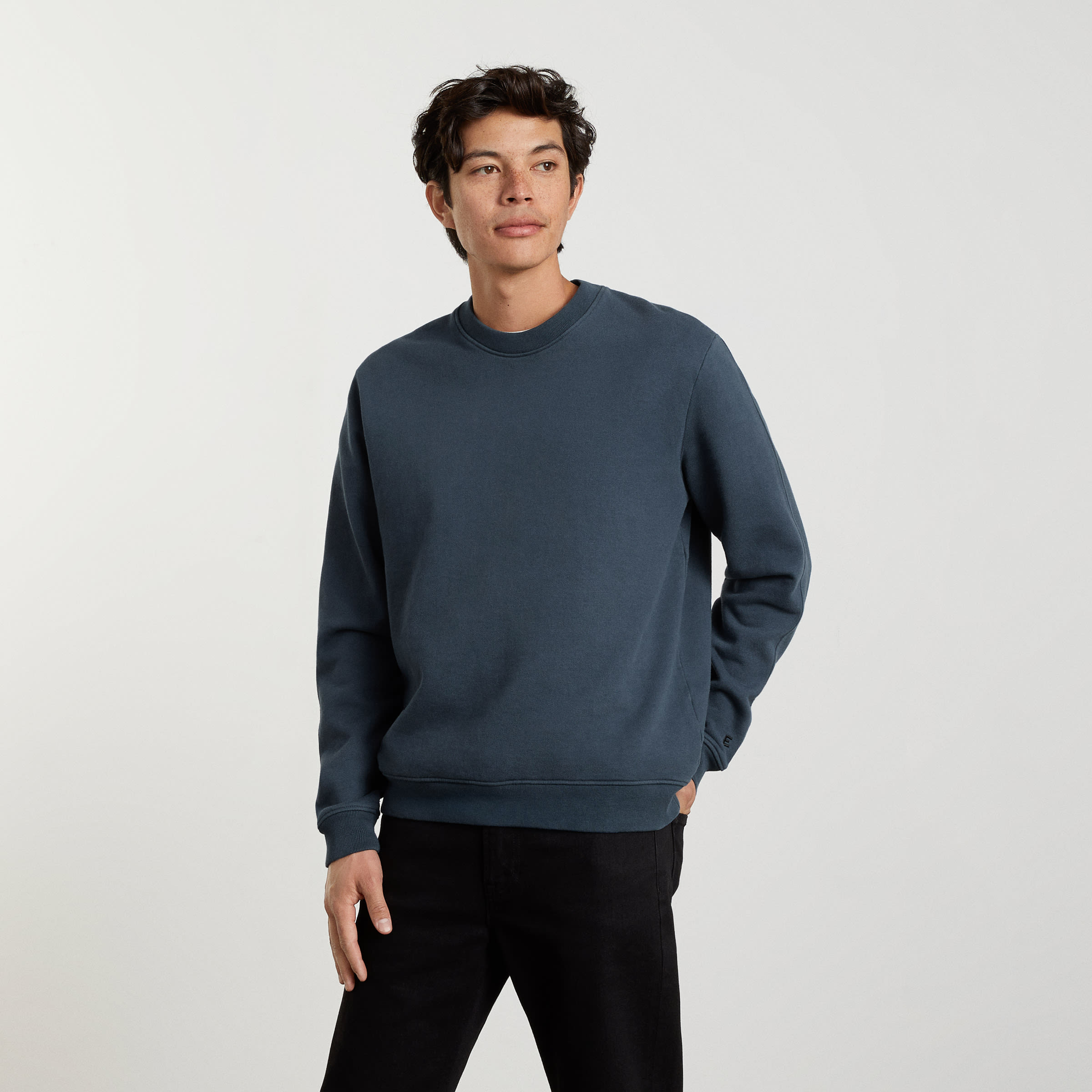 Everlane crew neck best sale sweatshirt