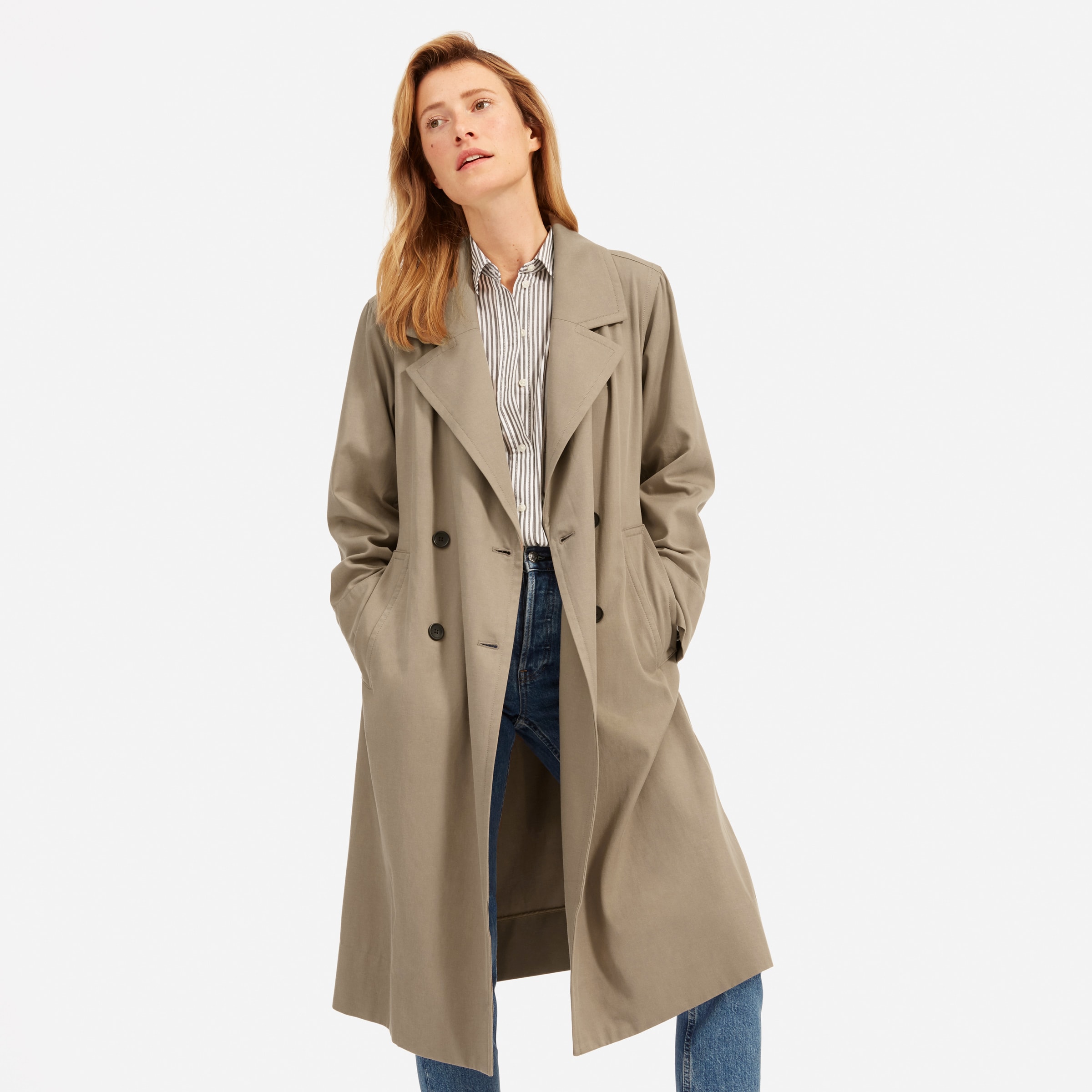 everlane trench