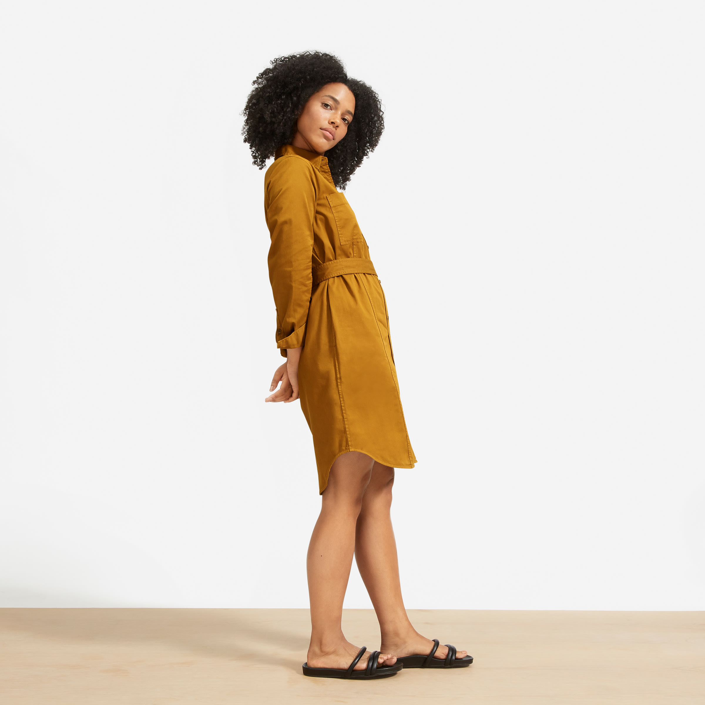 everlane sweatshirt dress
