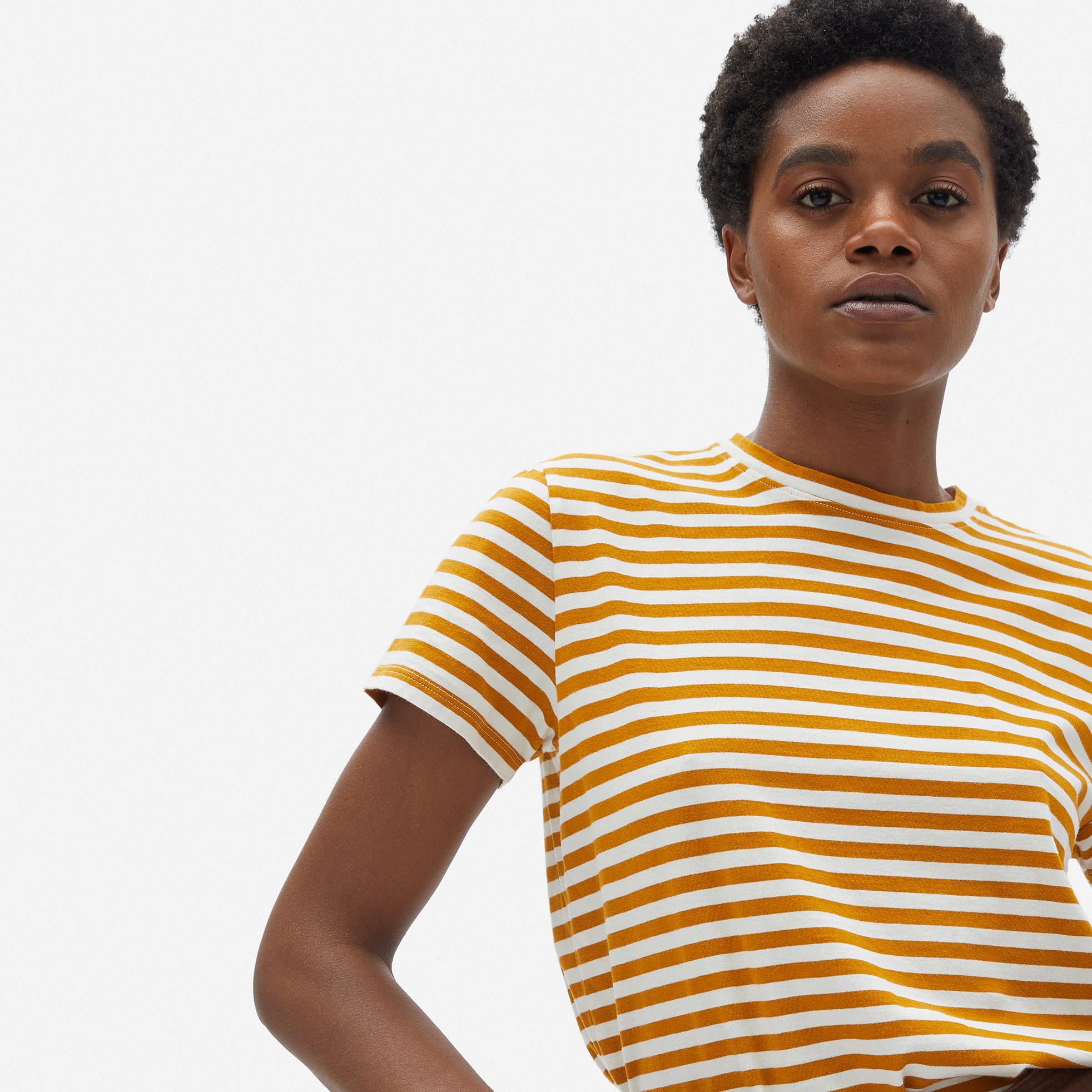 everlane striped shirt