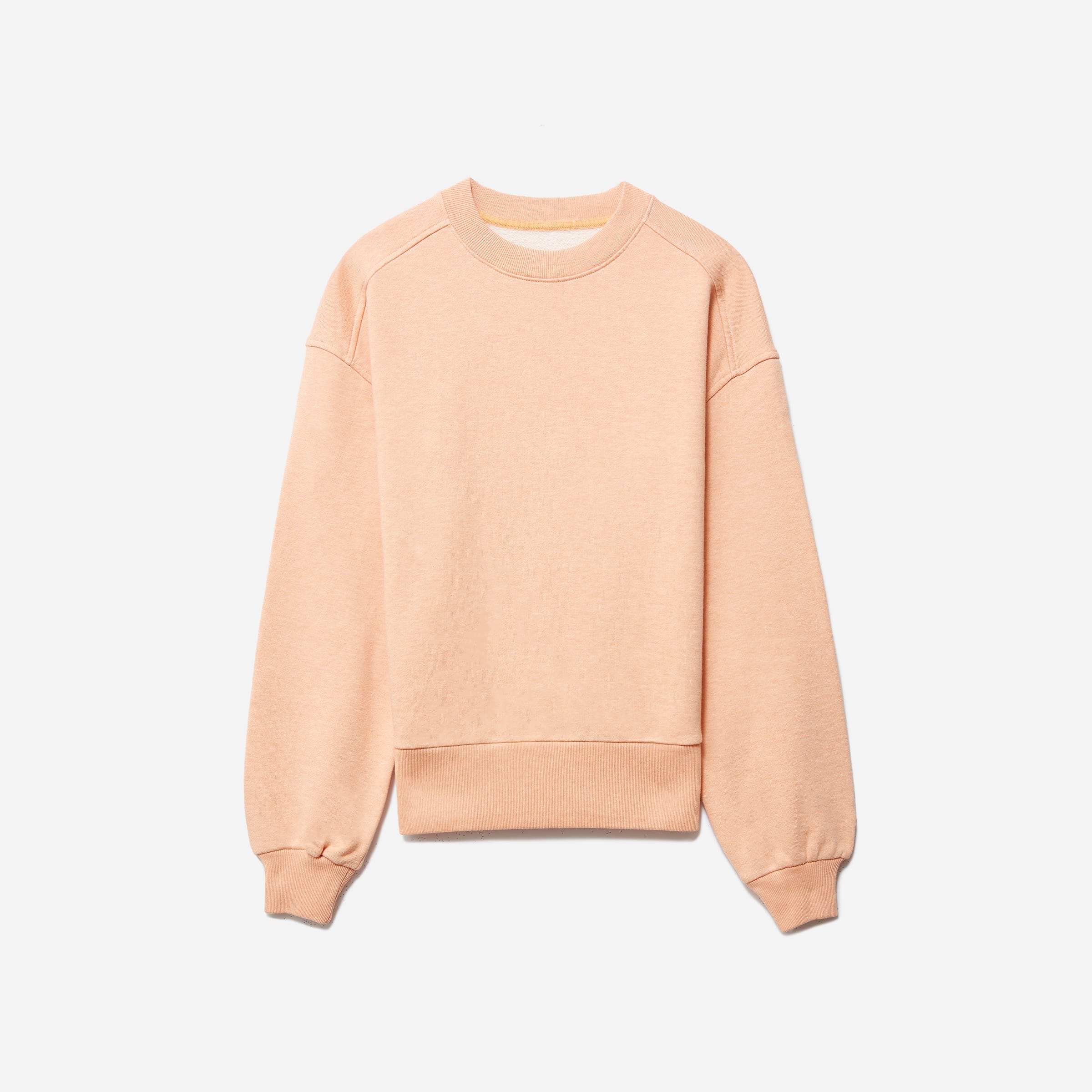 everlane sweatshirt