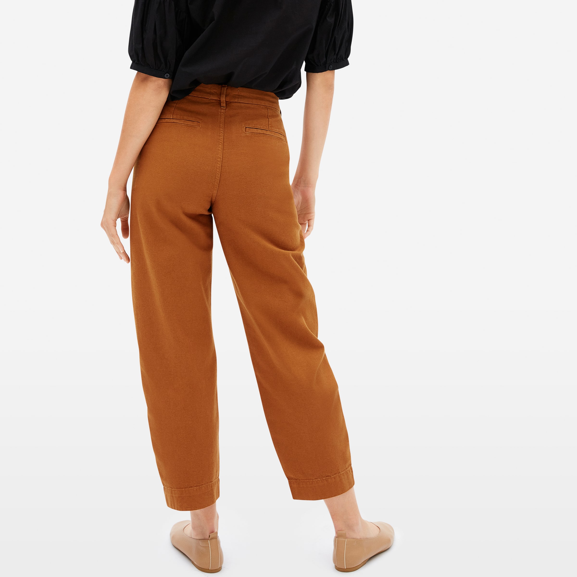 The Arc Canvas Pant Copper – Everlane