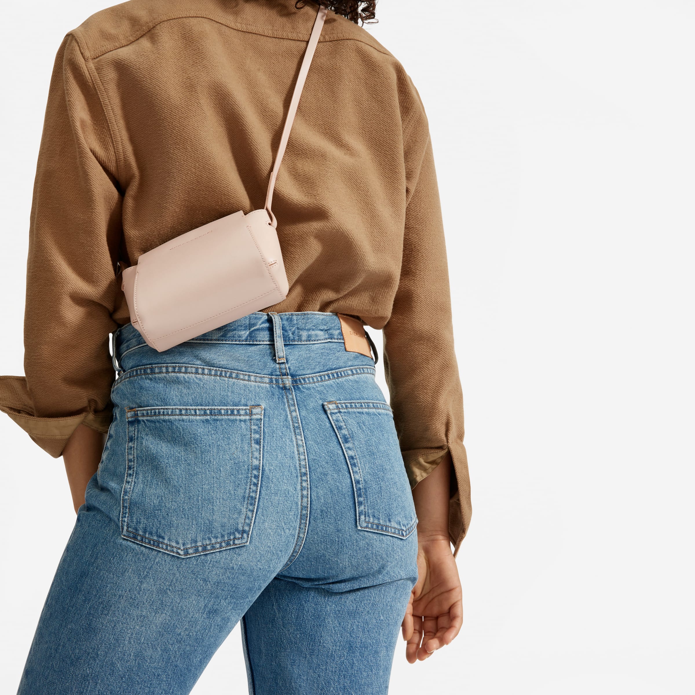 everlane the micro form bag