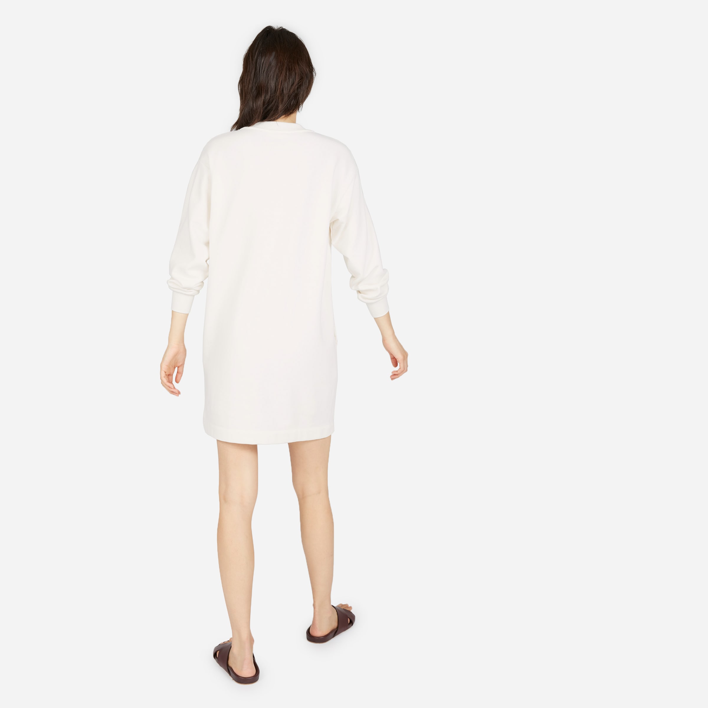 everlane sweatshirt dress