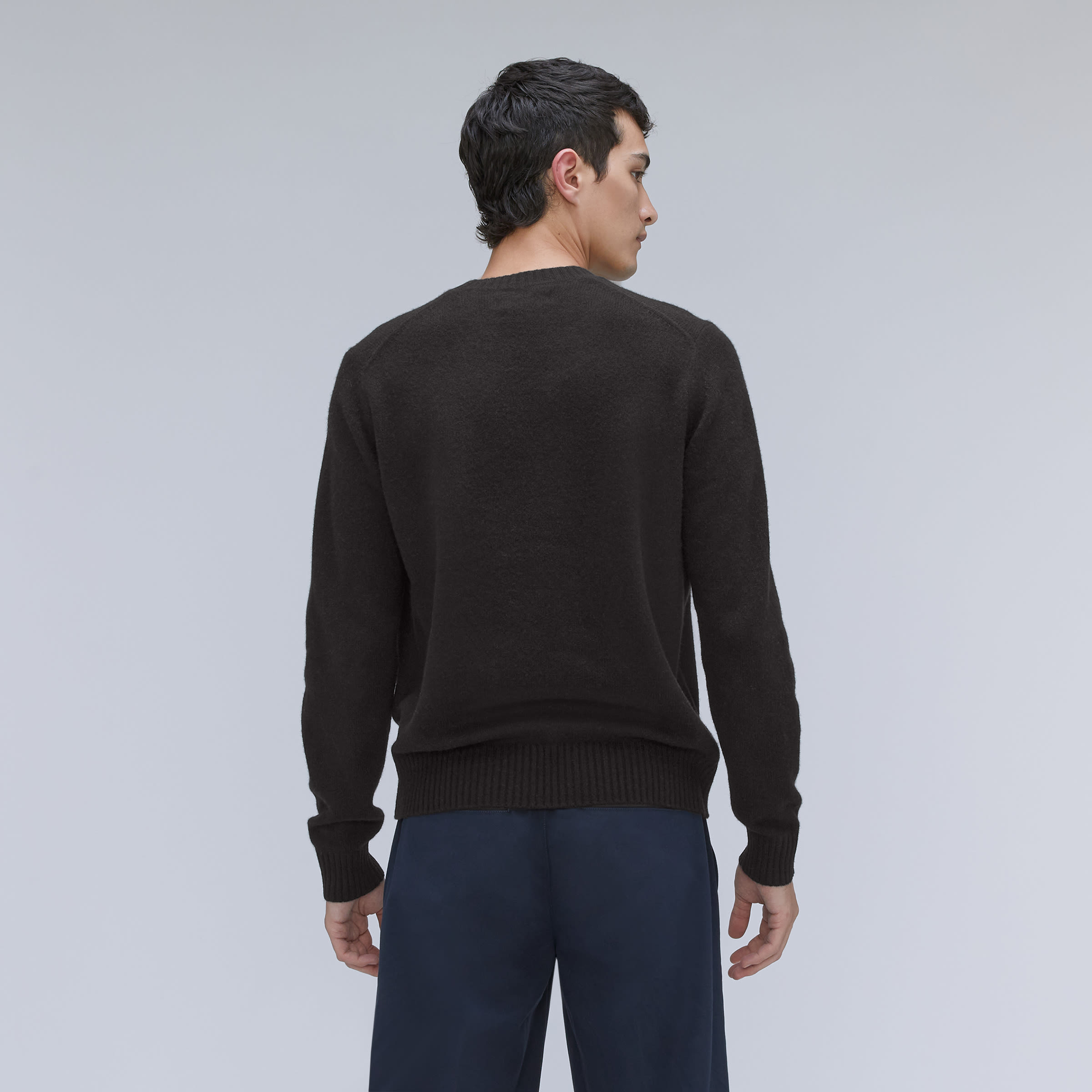 Everlane cashmere crew shop