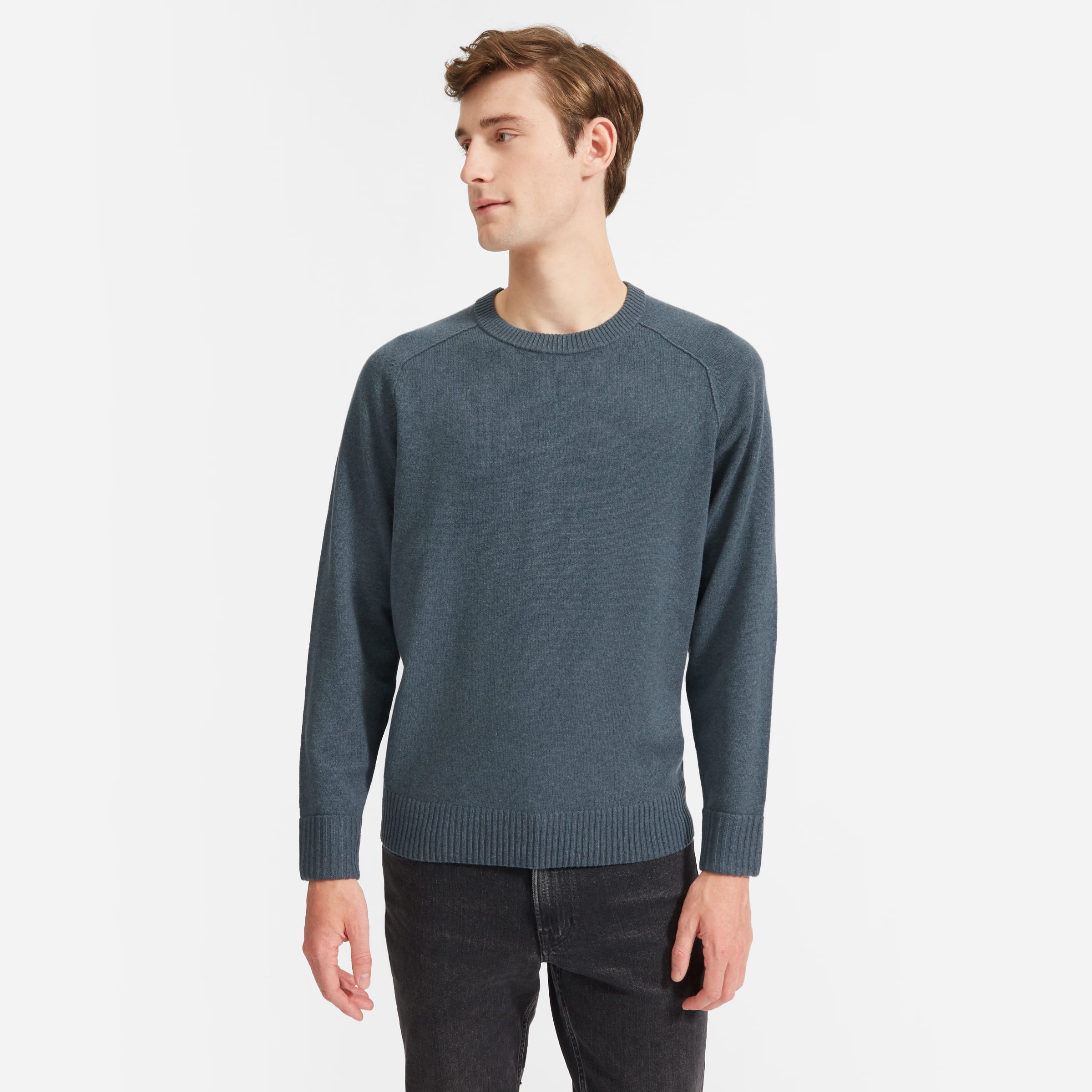 Everlane recashmere crew clearance