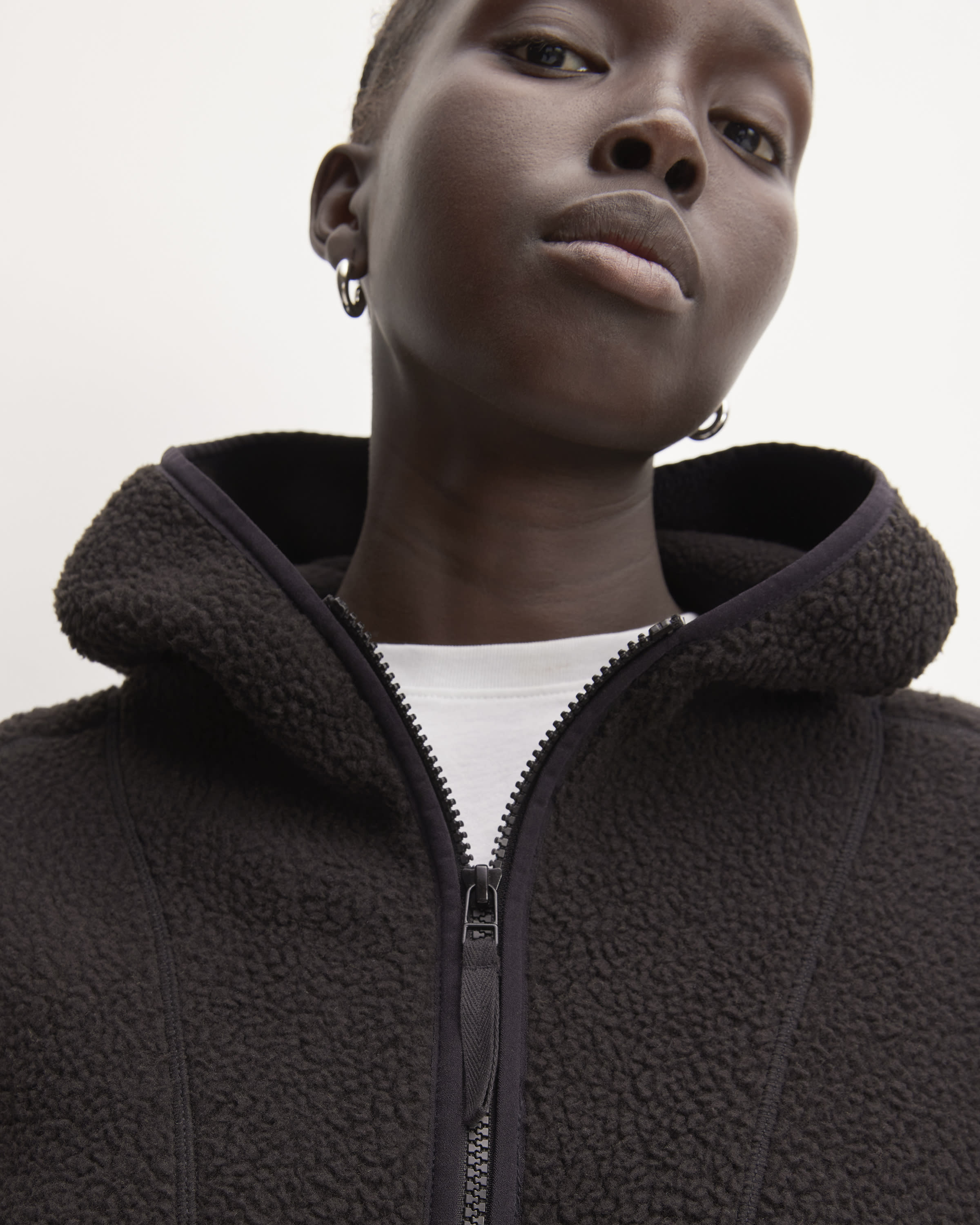 Everlane best sale renew hoodie