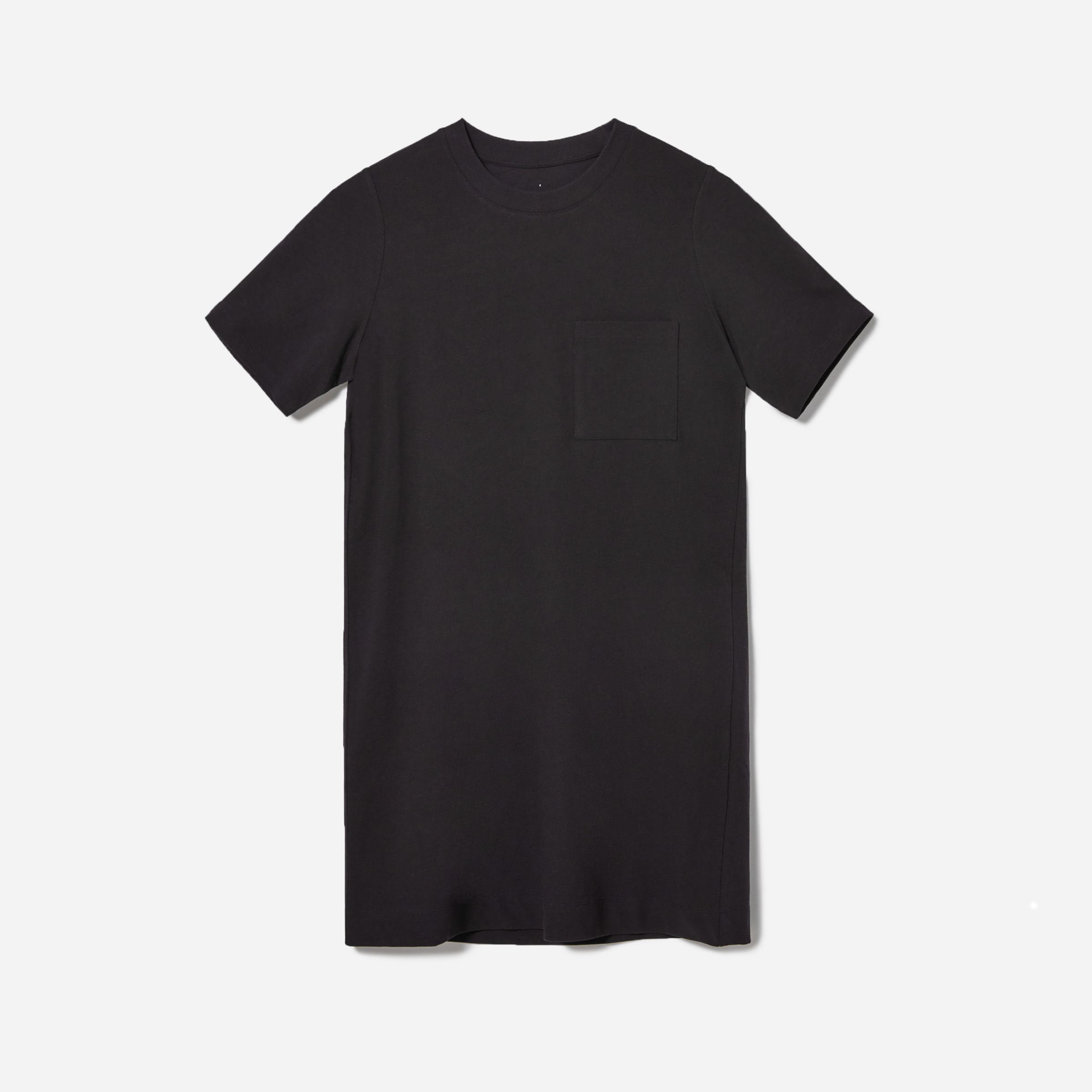 everlane sweatshirt dress