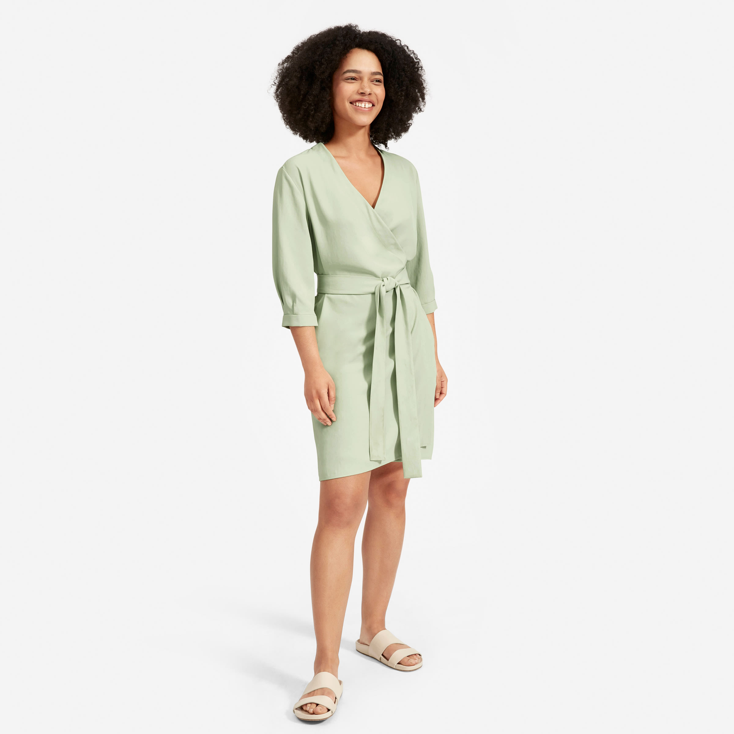 everlane goweave dress
